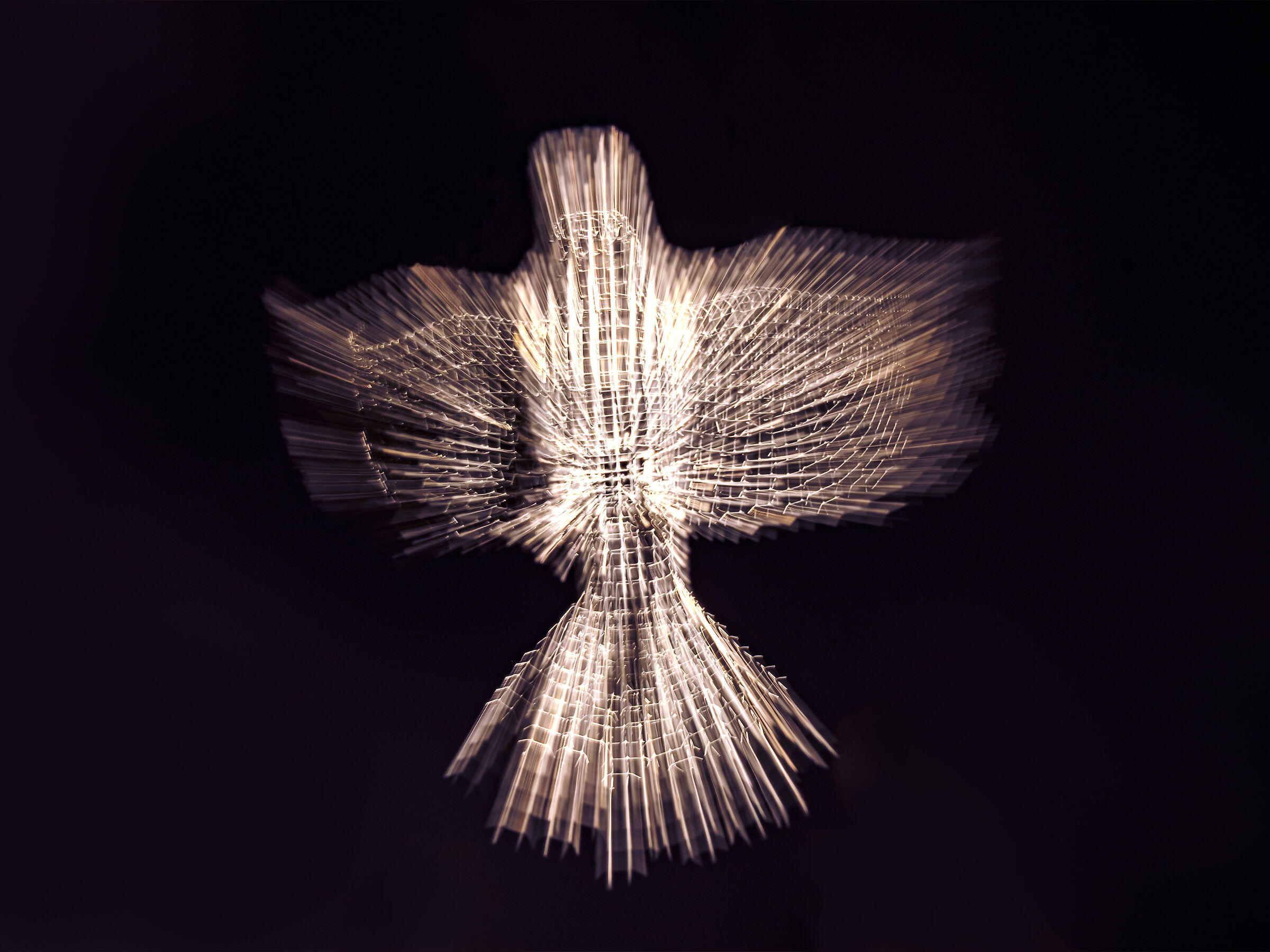 Mostra Fotografica Il Cassero per la Scultura