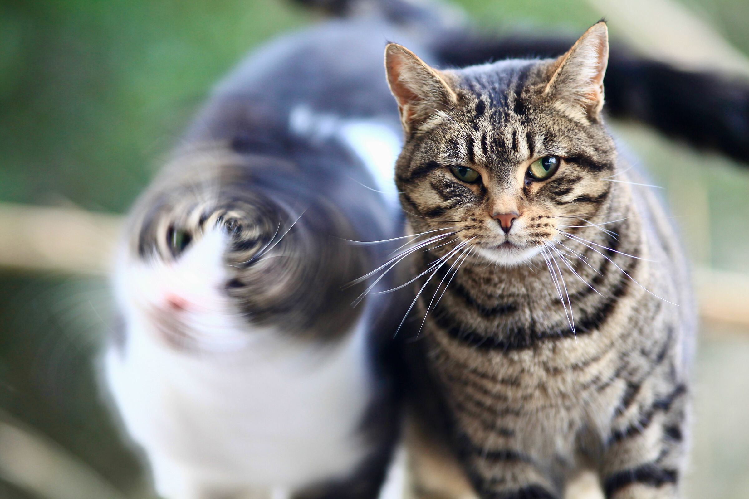 Fotografia e legge di Murphy