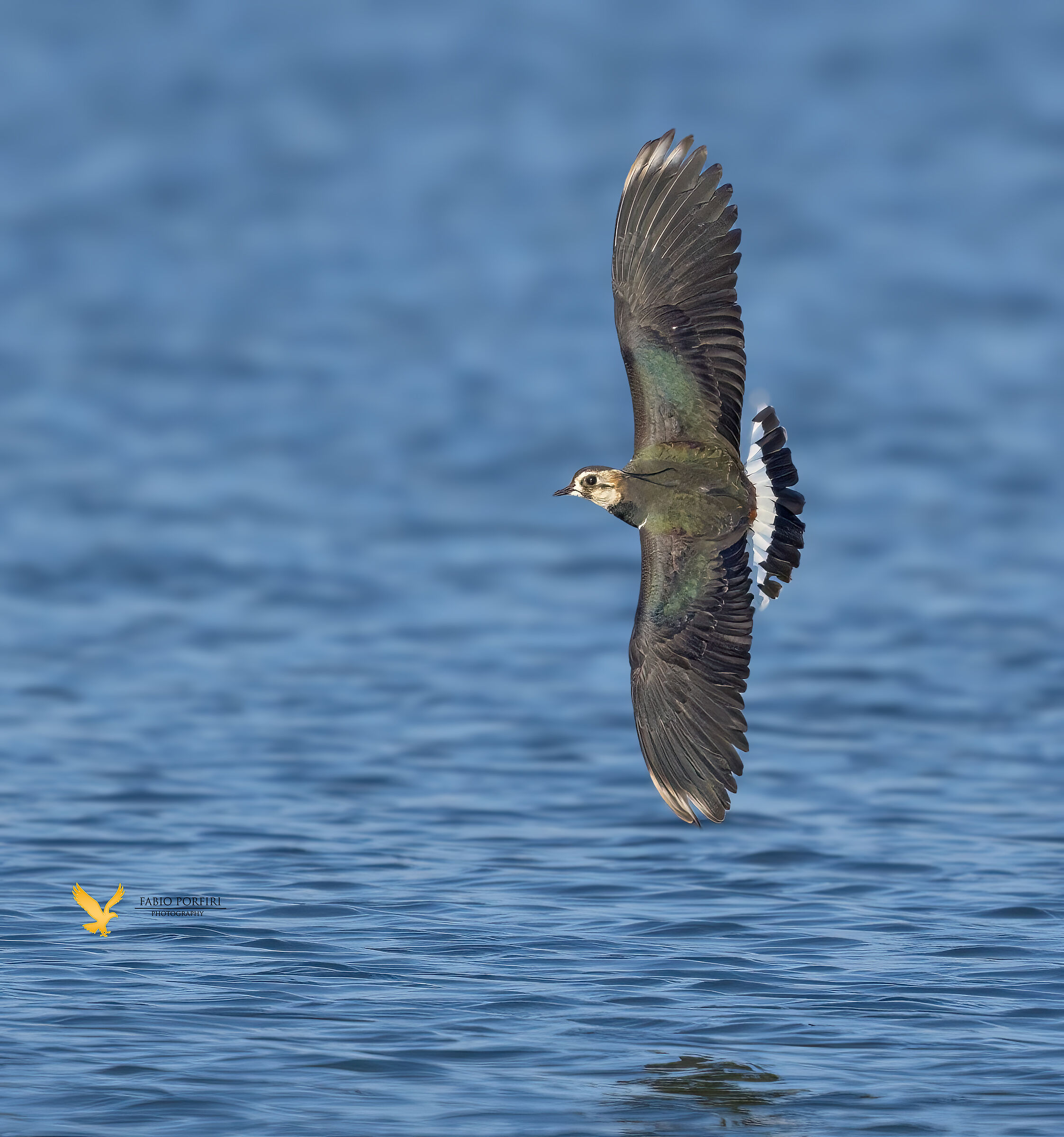 cercando di distrarre l'attenzione sul gruppo