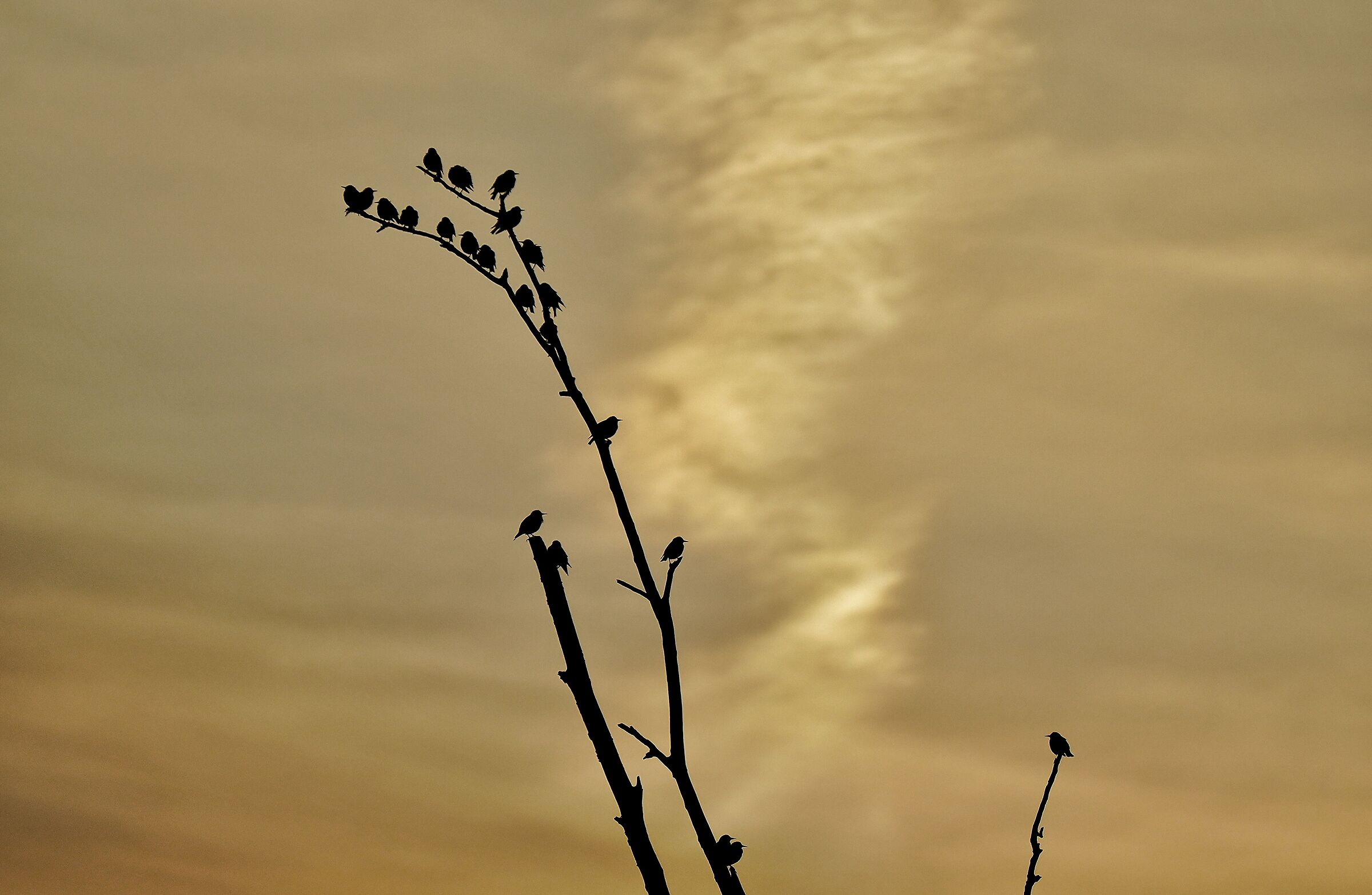 Towards sunset.
