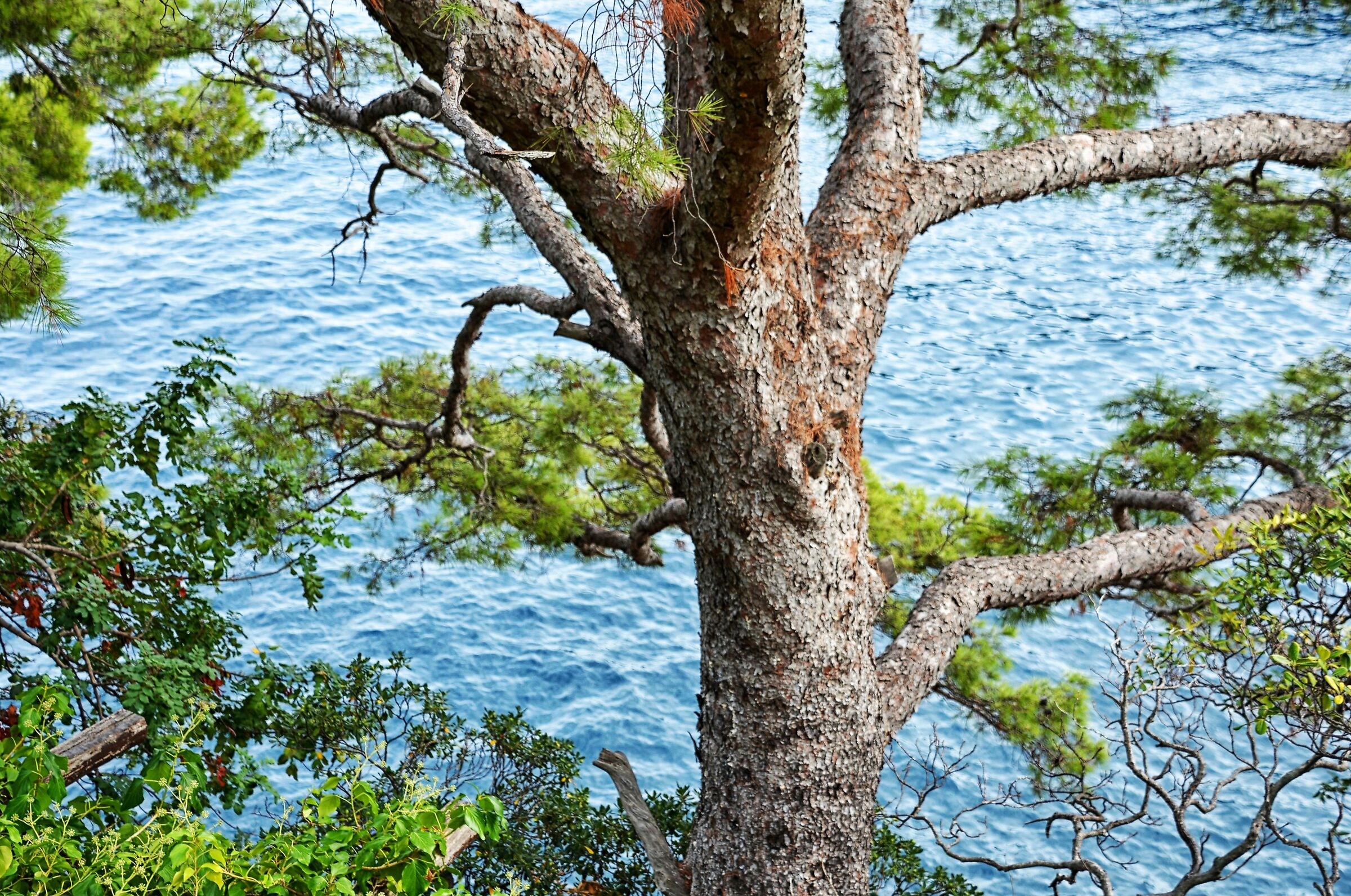 Non solo mare a Portofino