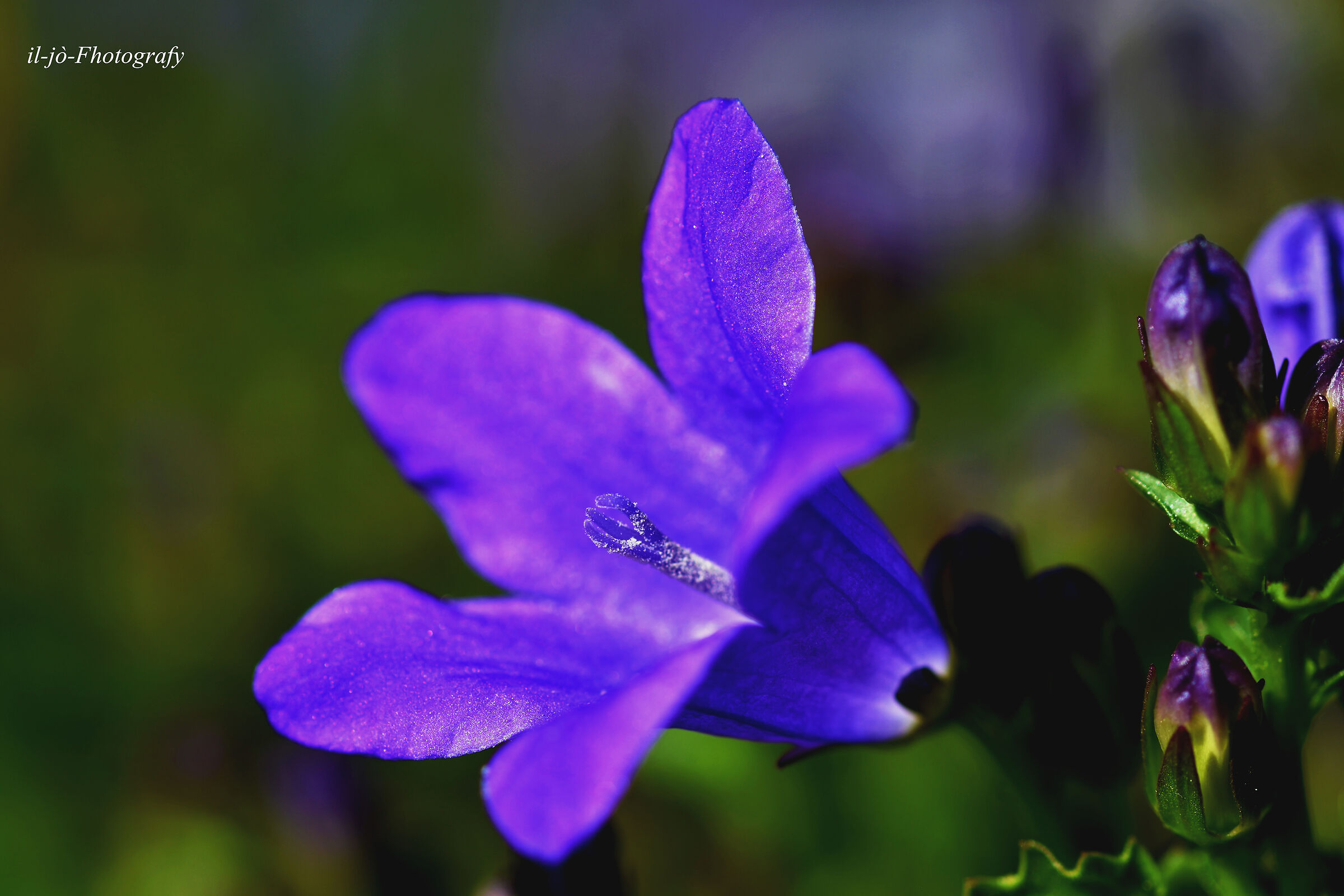 Untitled Photo