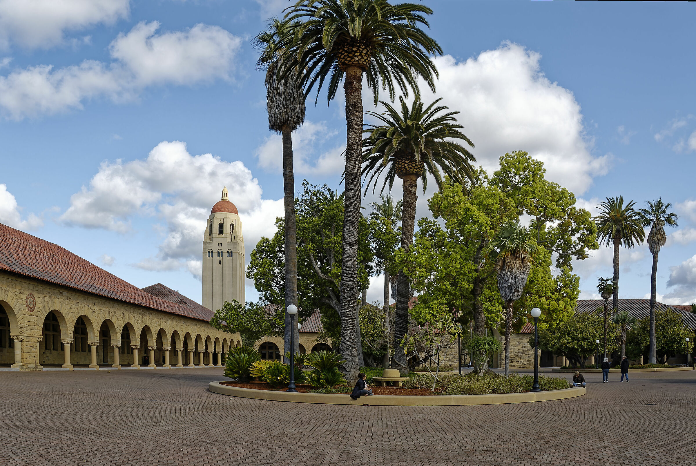 Stanford University 1