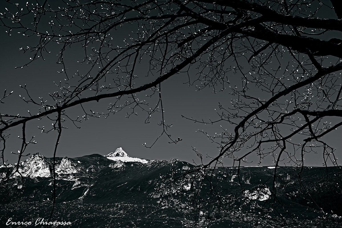 The awakening of nature ...