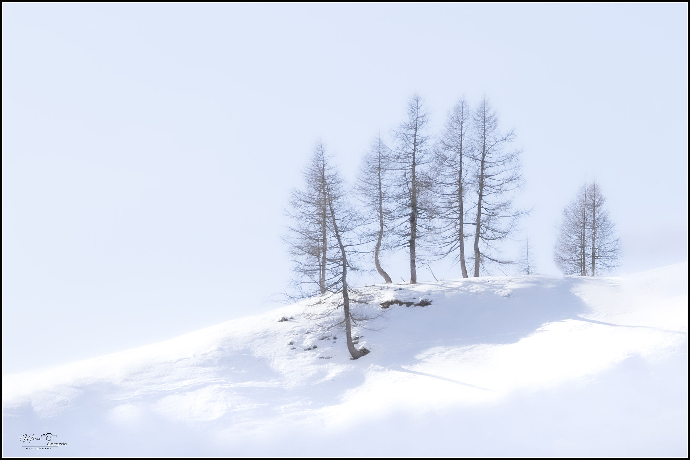 minimal trees