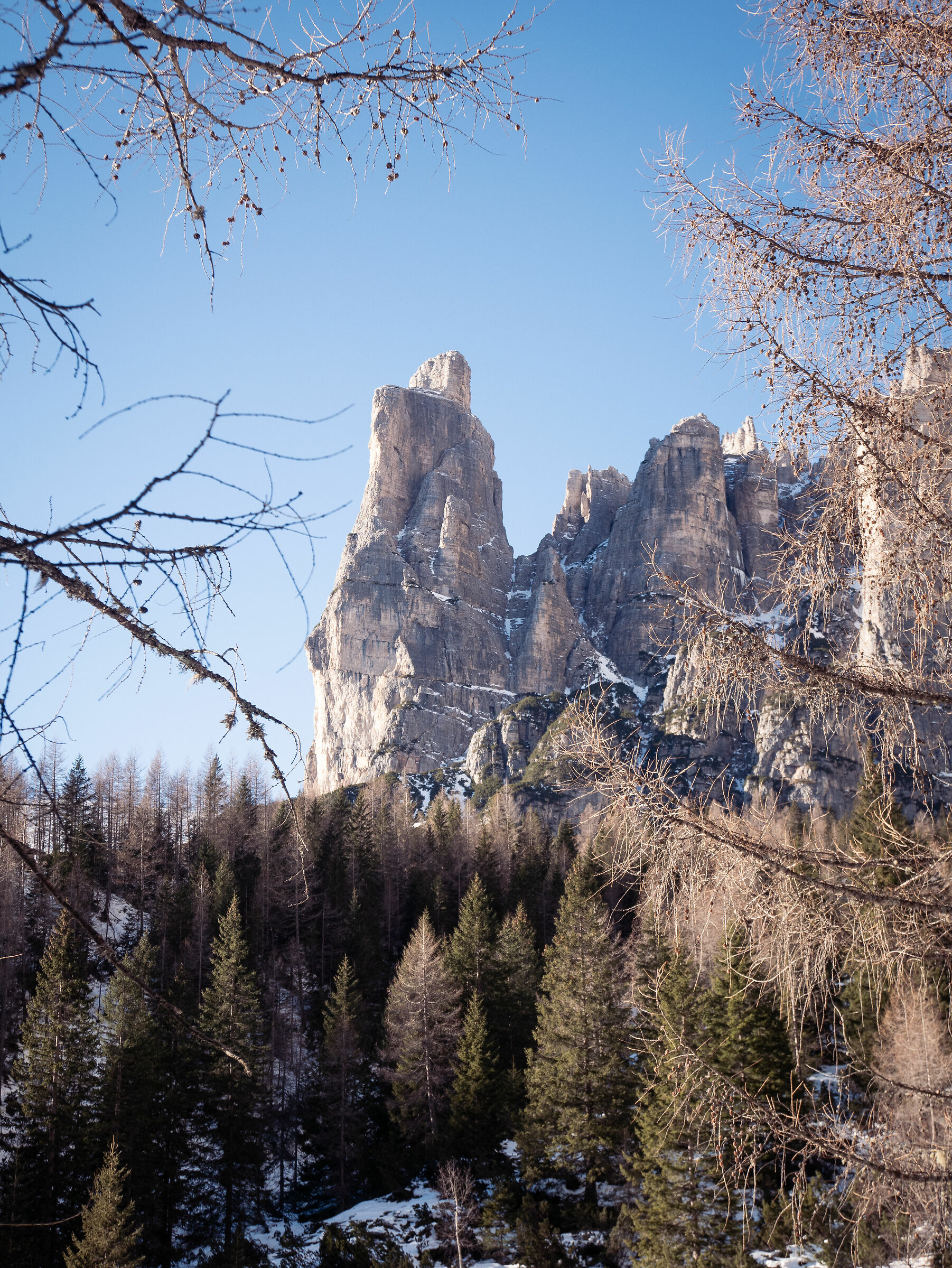 Torre Venezia