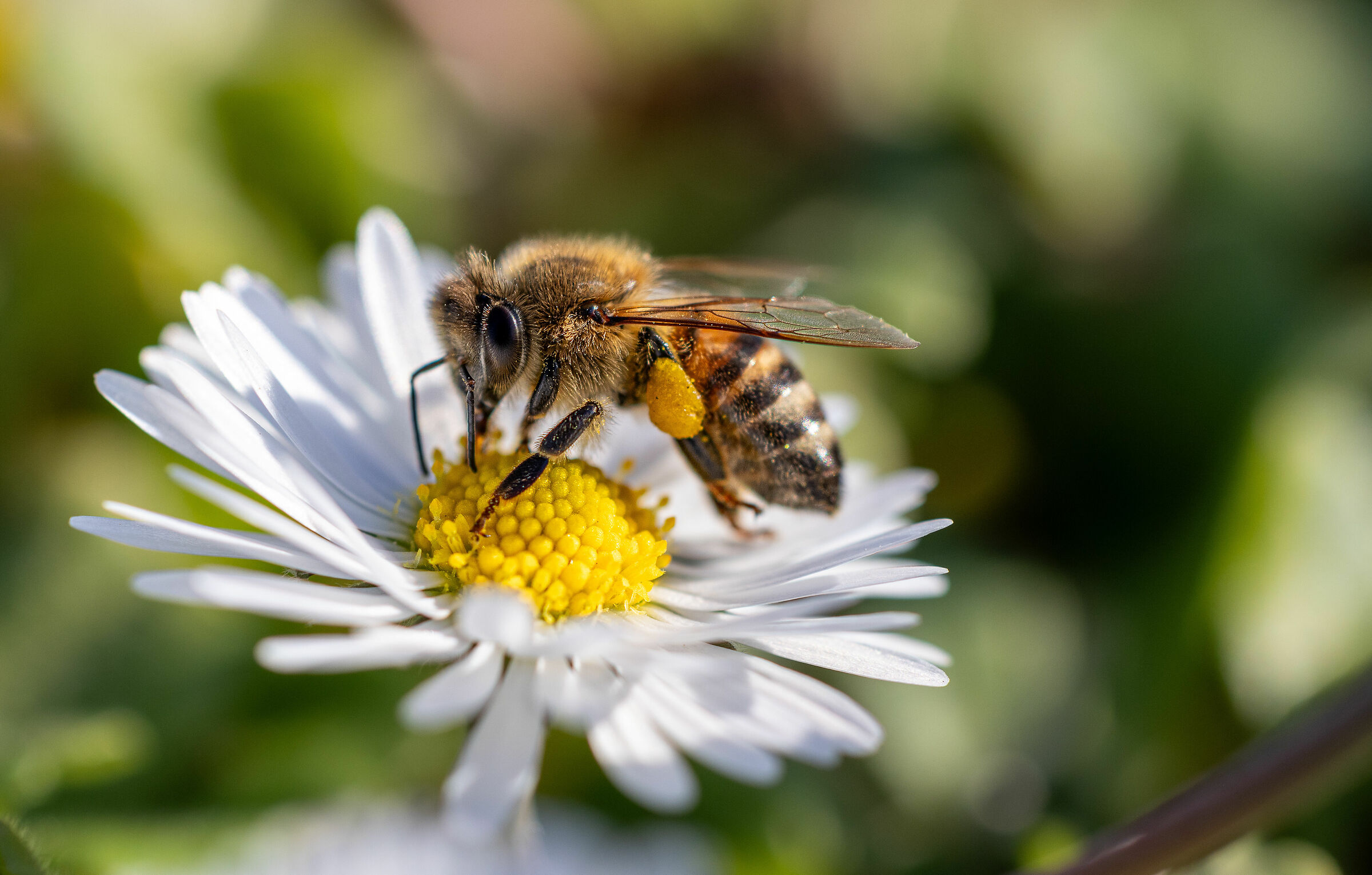 What do you have to look at??