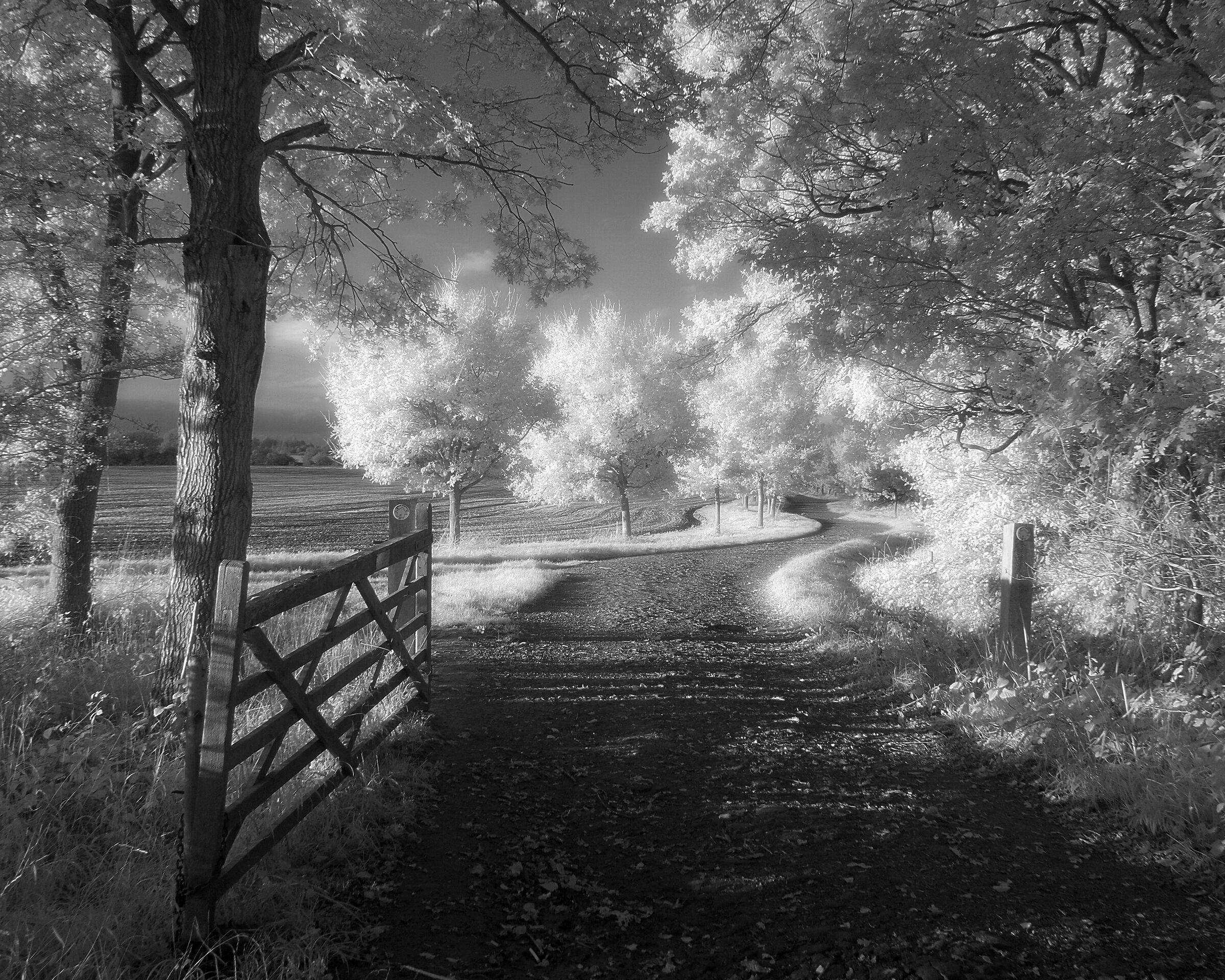 La strada verso casa