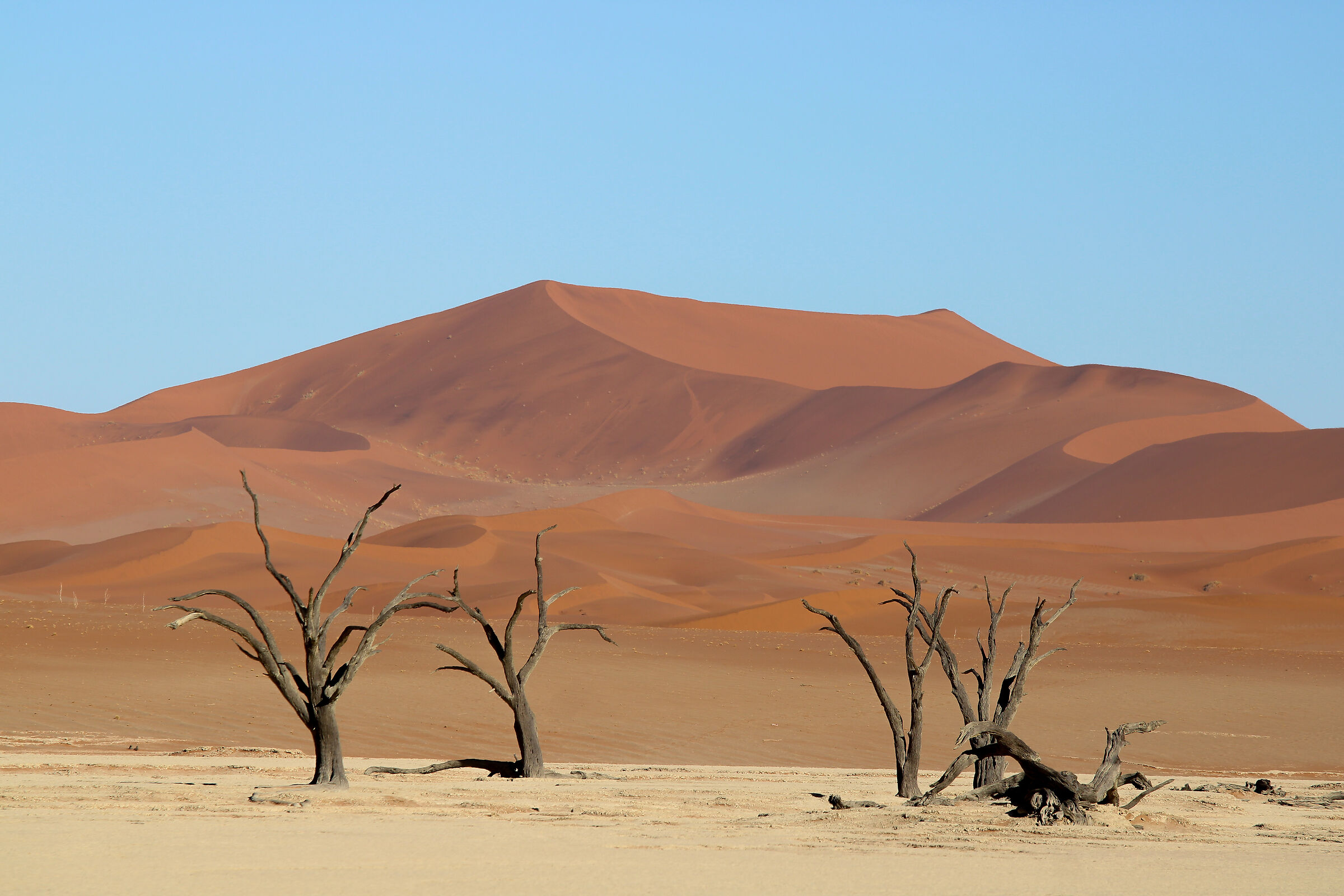 Deadvlei and its colors