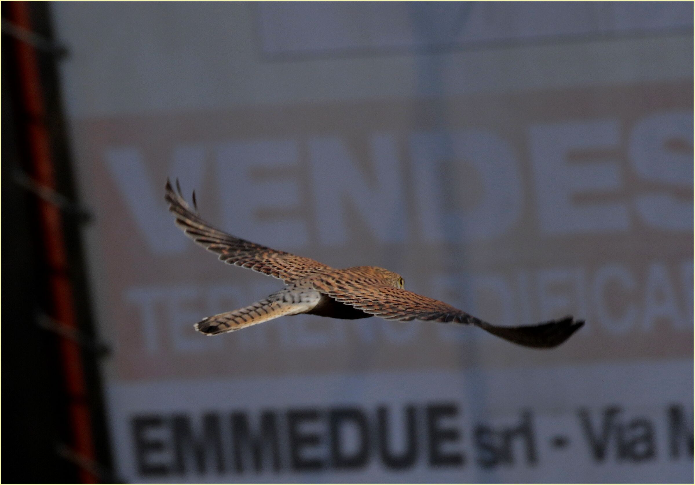 ''I've decided, I'm moving house''