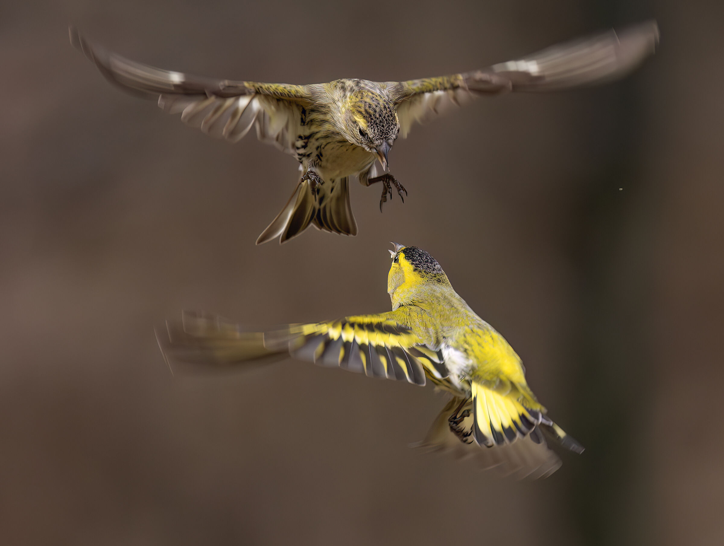 Lucherini gennaio2024