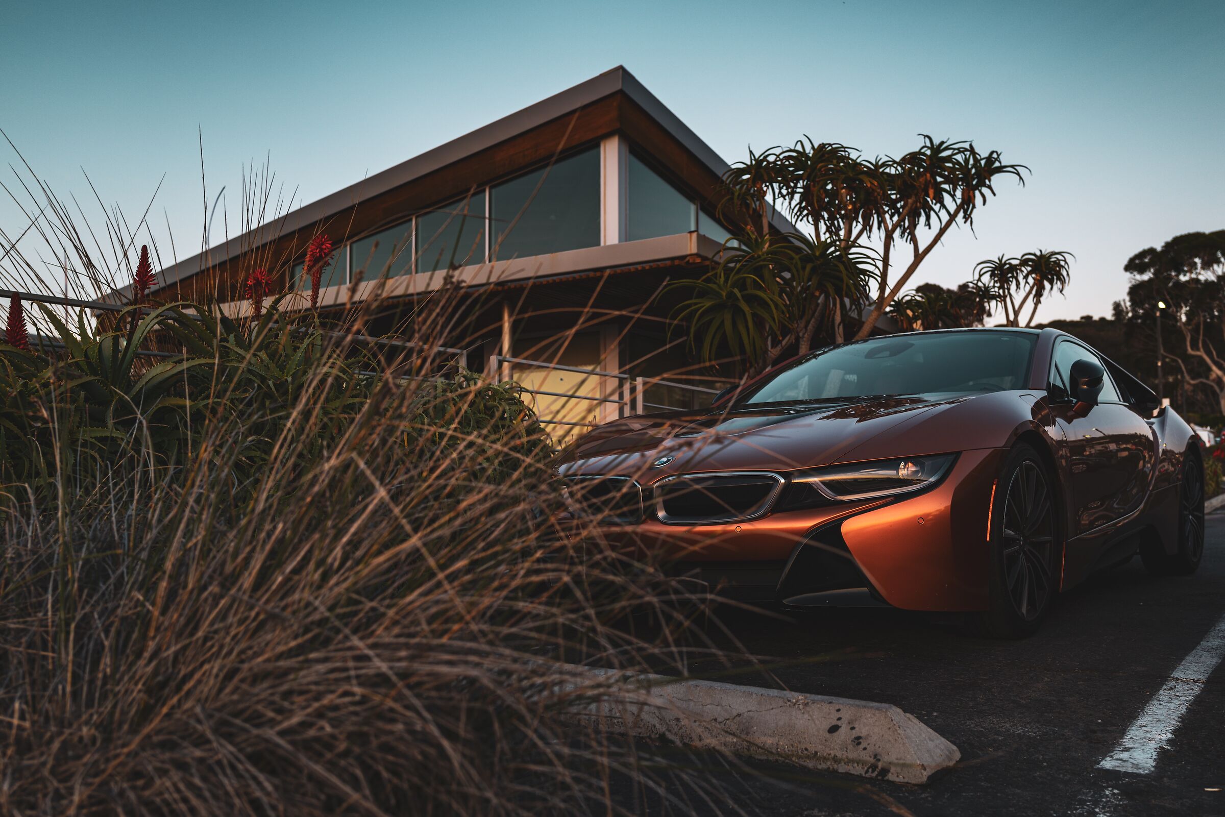 California dreaming...