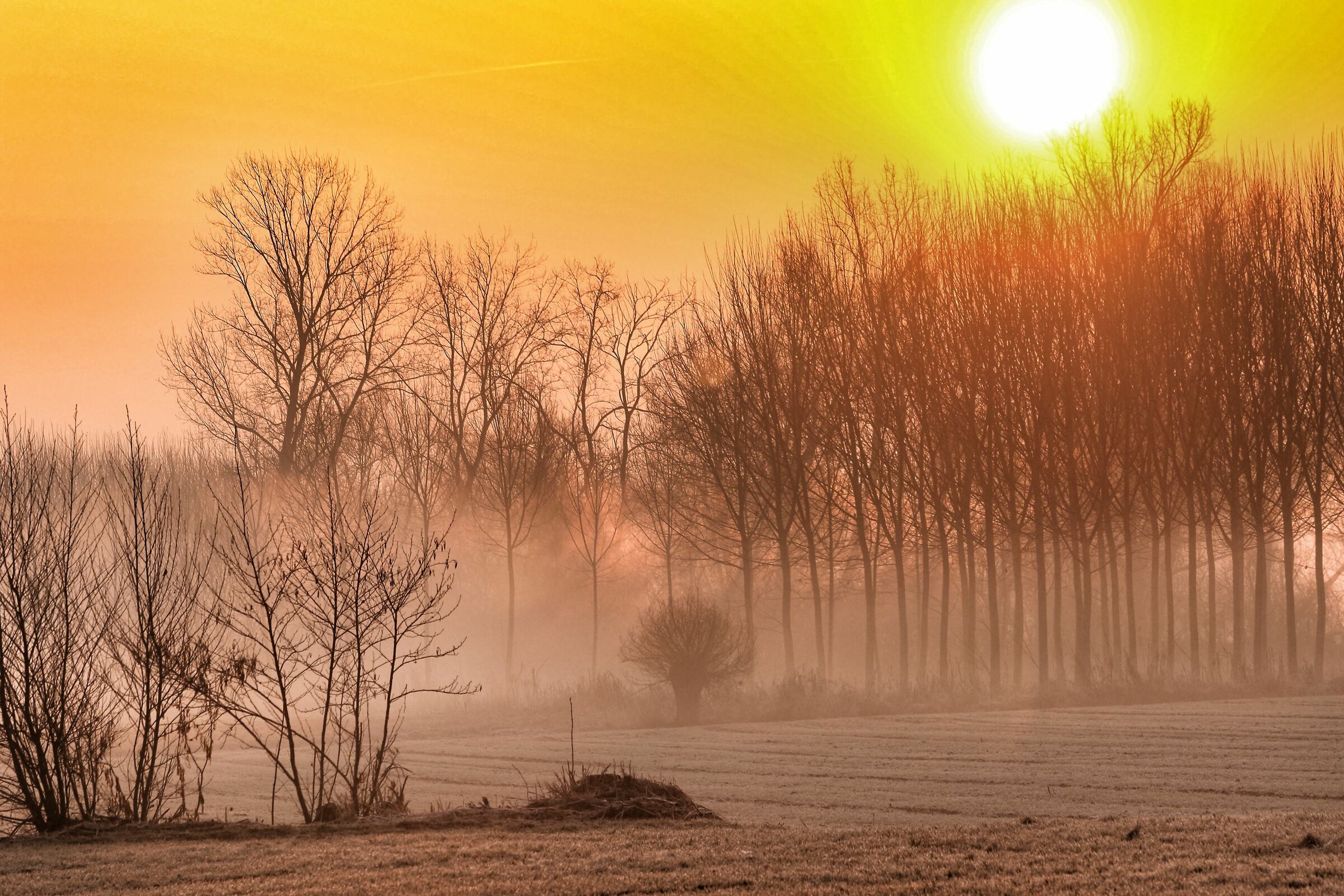Alba in campagna