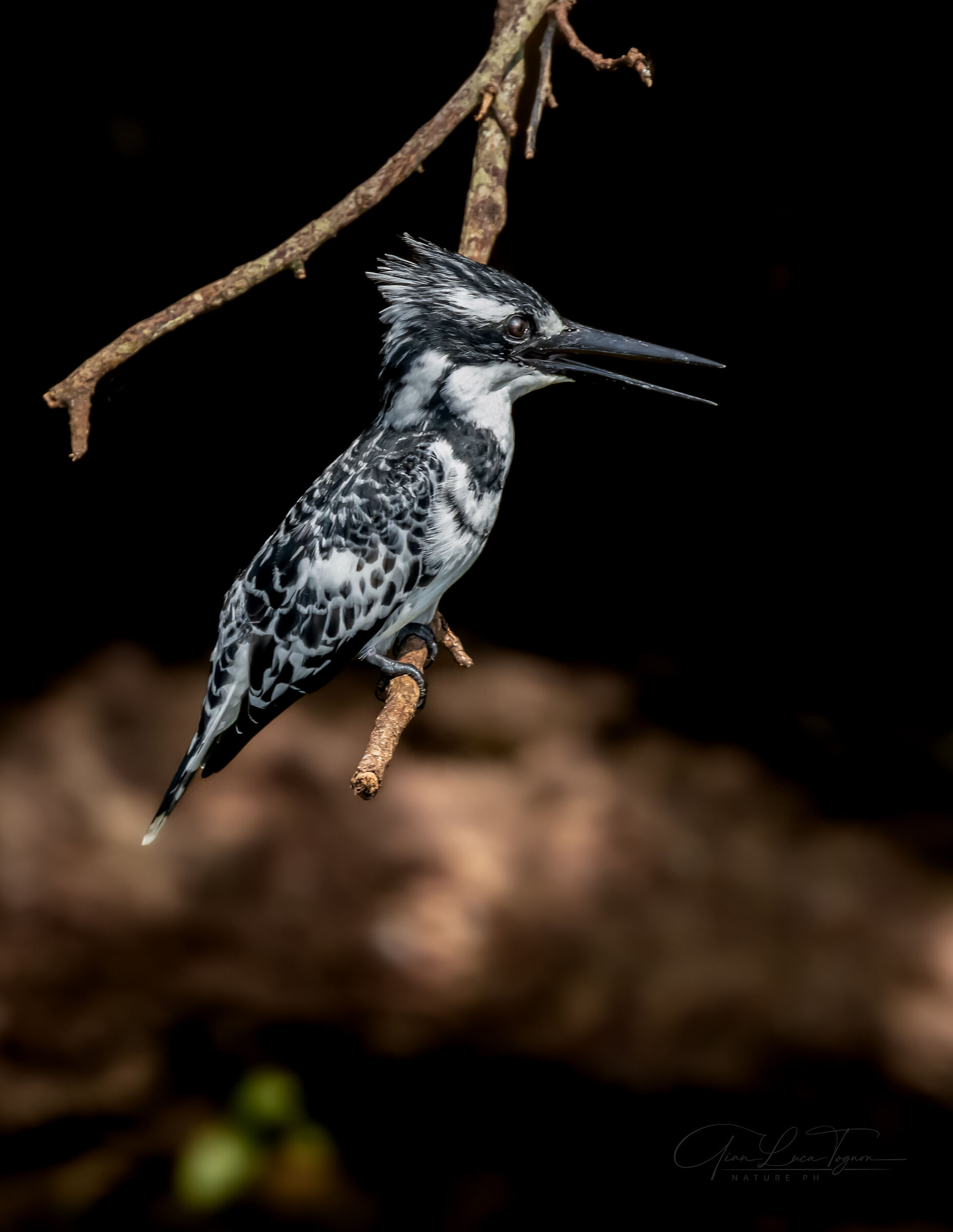 i colori del bianco e nero | the colors of b&w