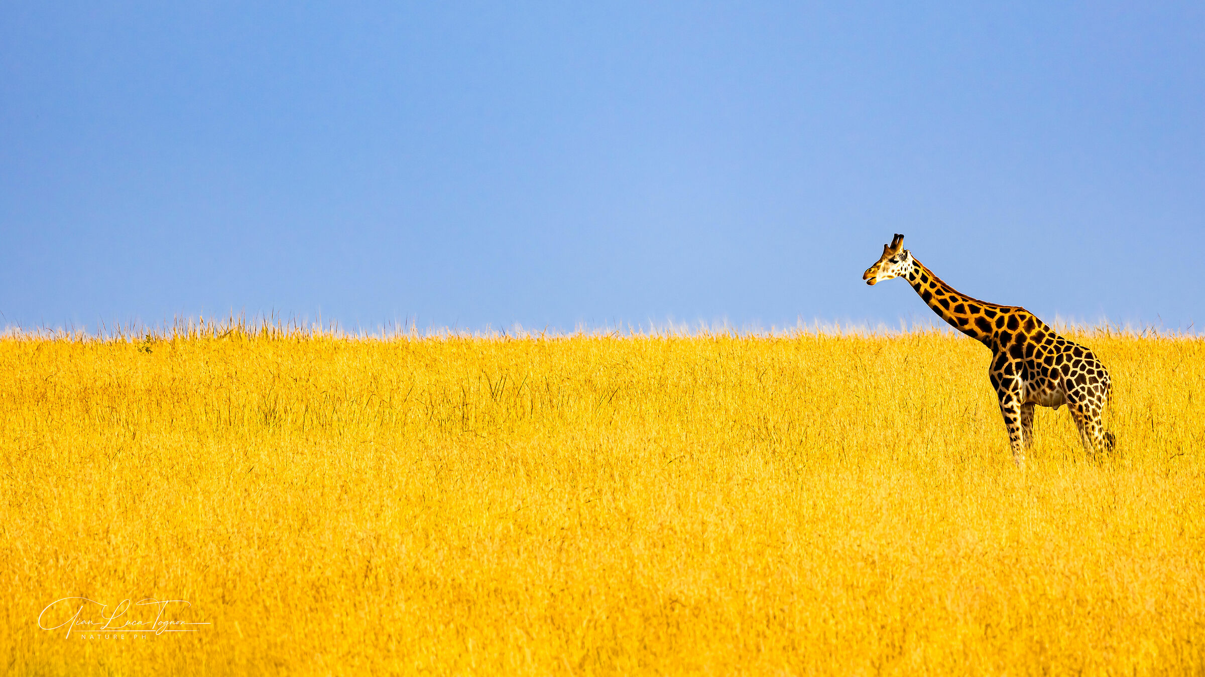 Il respiro del panorama era immenso ...