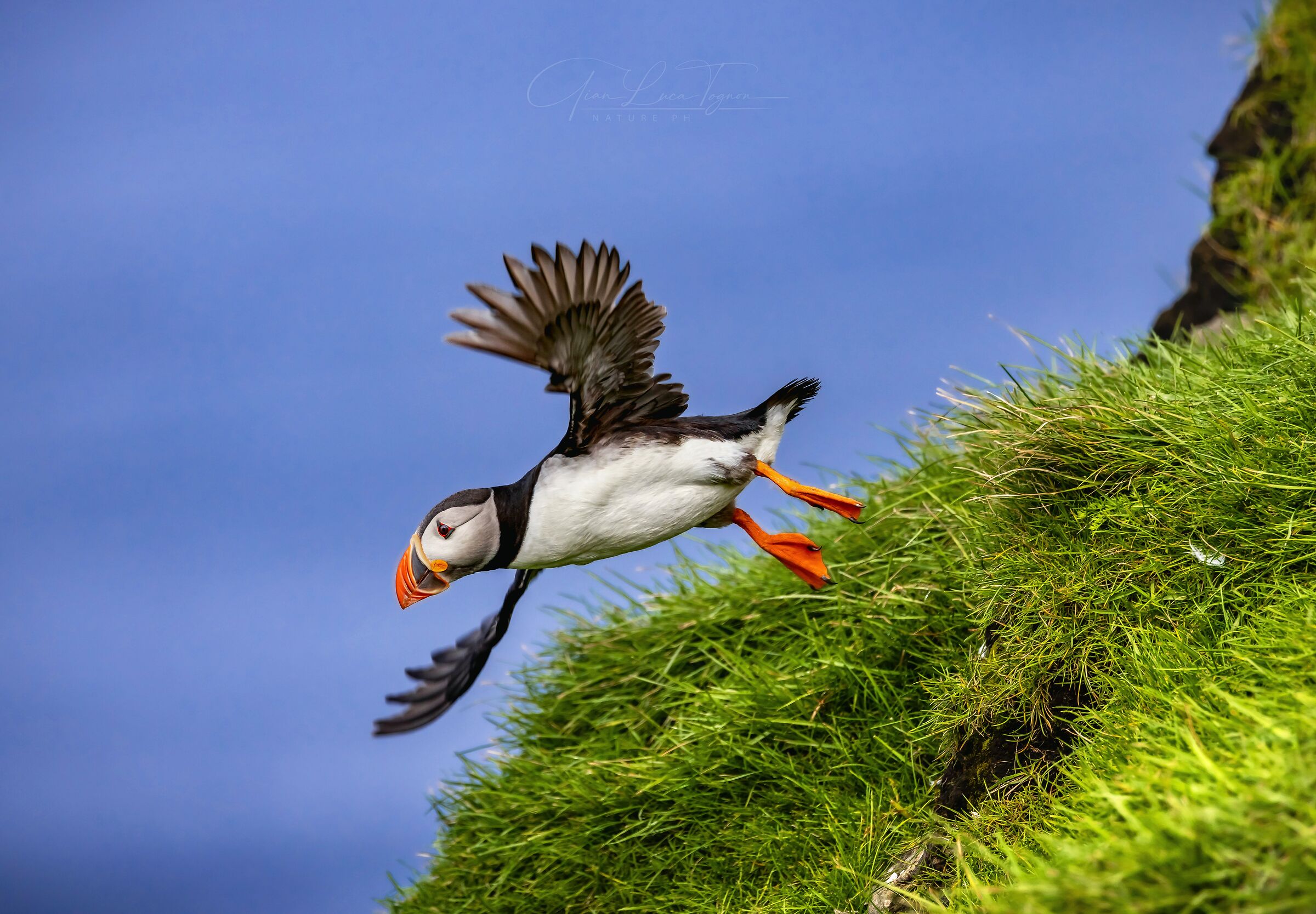 E tu? Vuoi volare via?