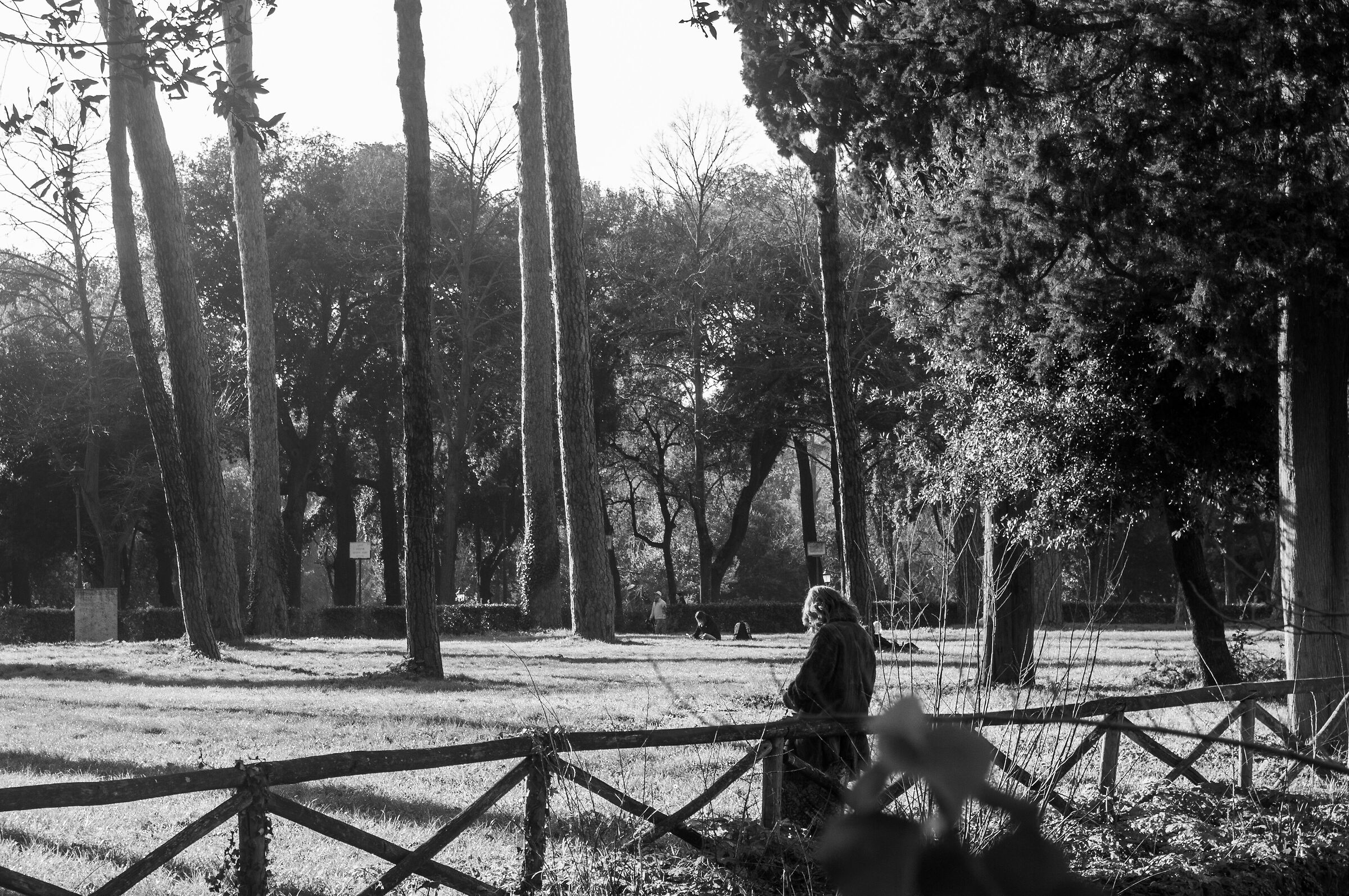 Roma Villa Borghese