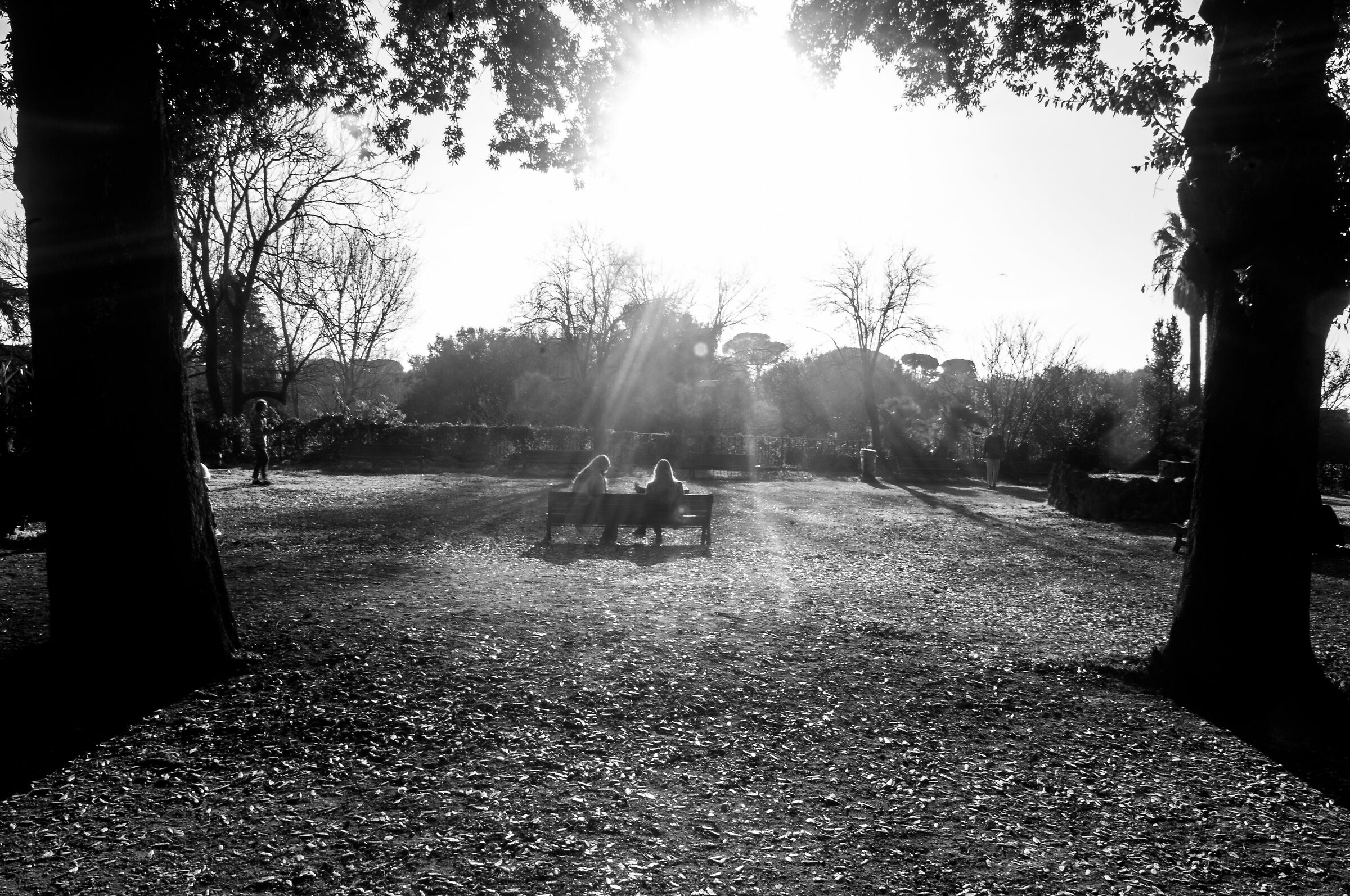 Roma Villa Borghese