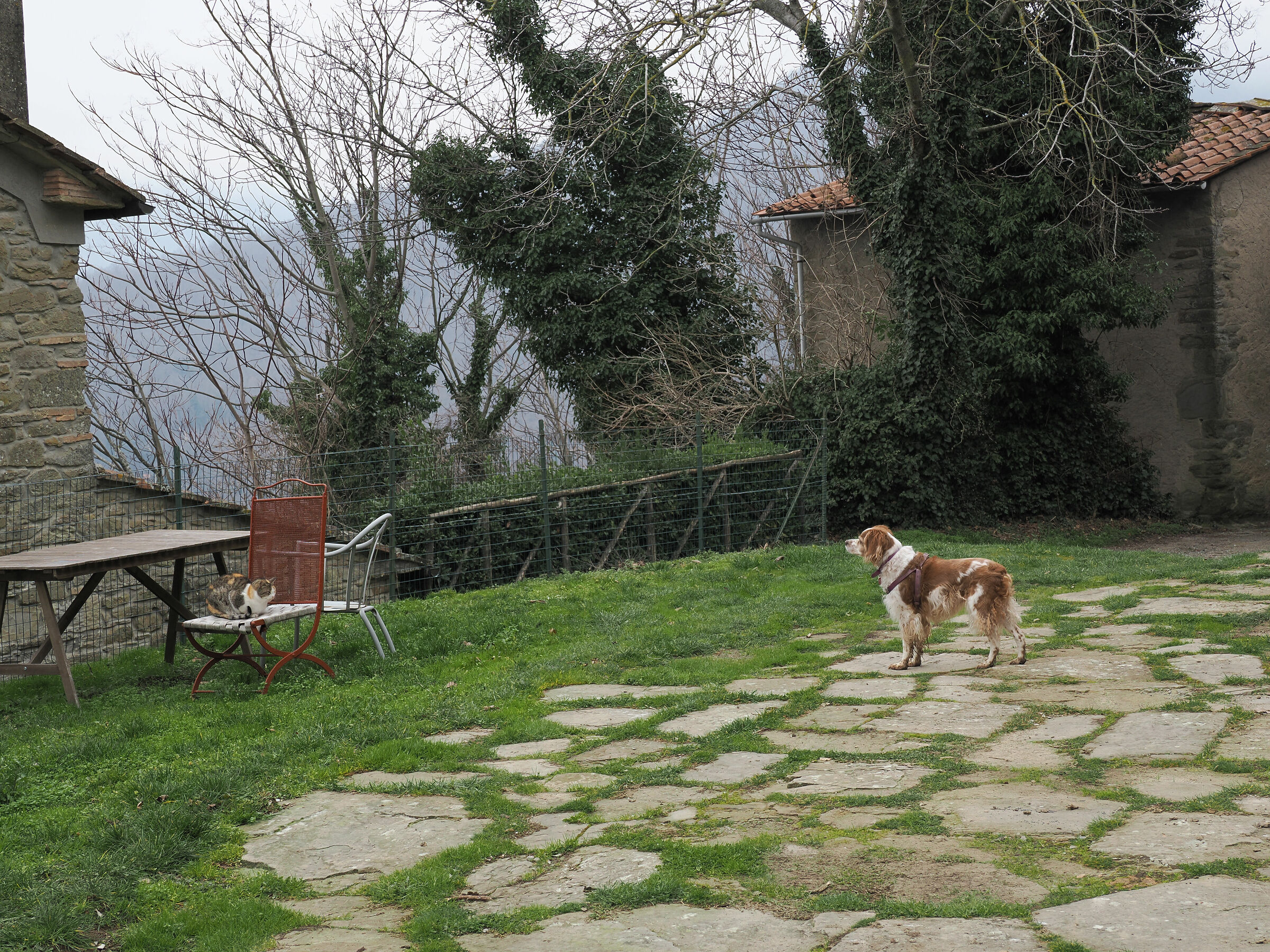 La quiete ... prima della tempesta