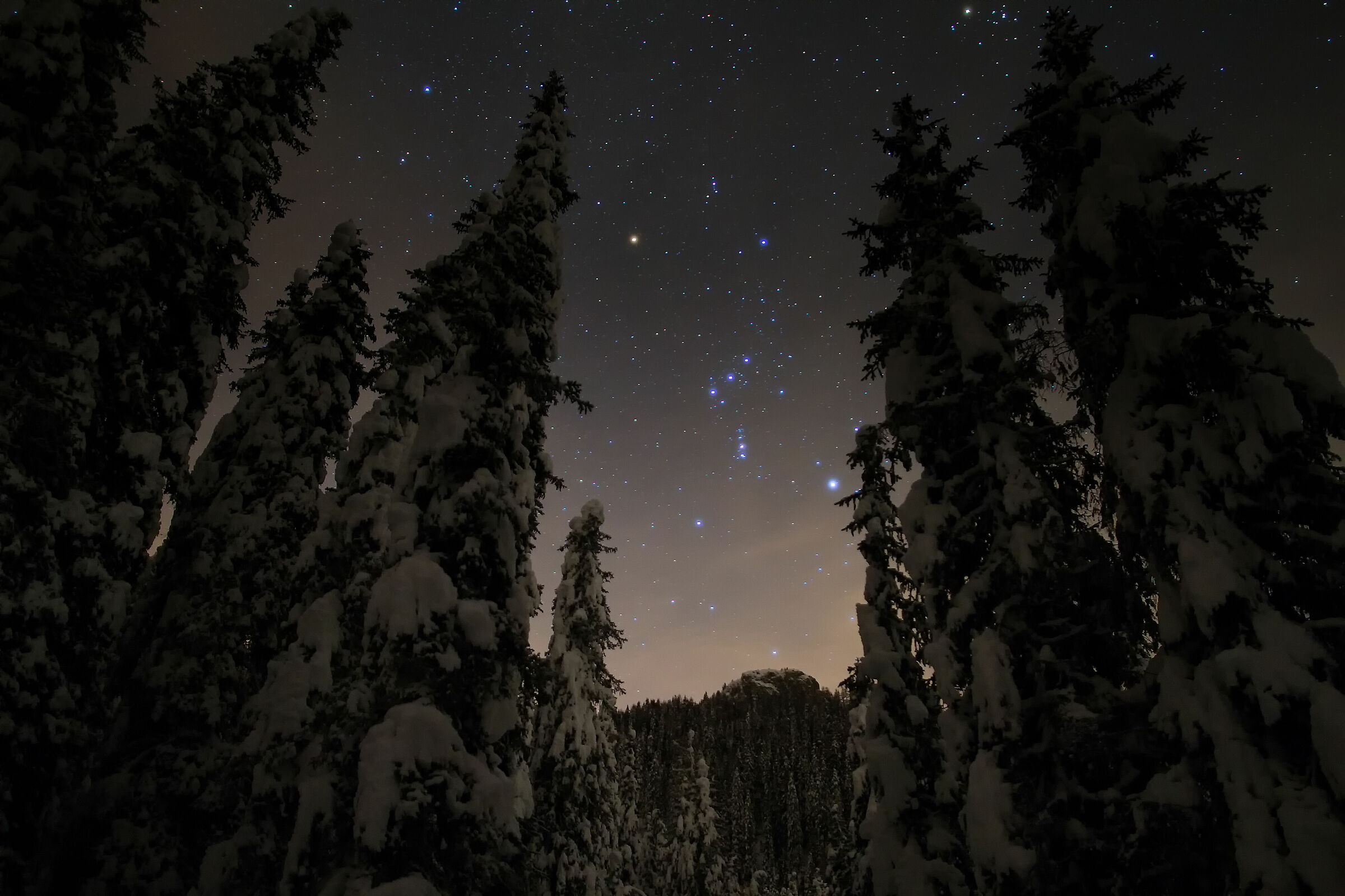 cintura di orione dal bosco