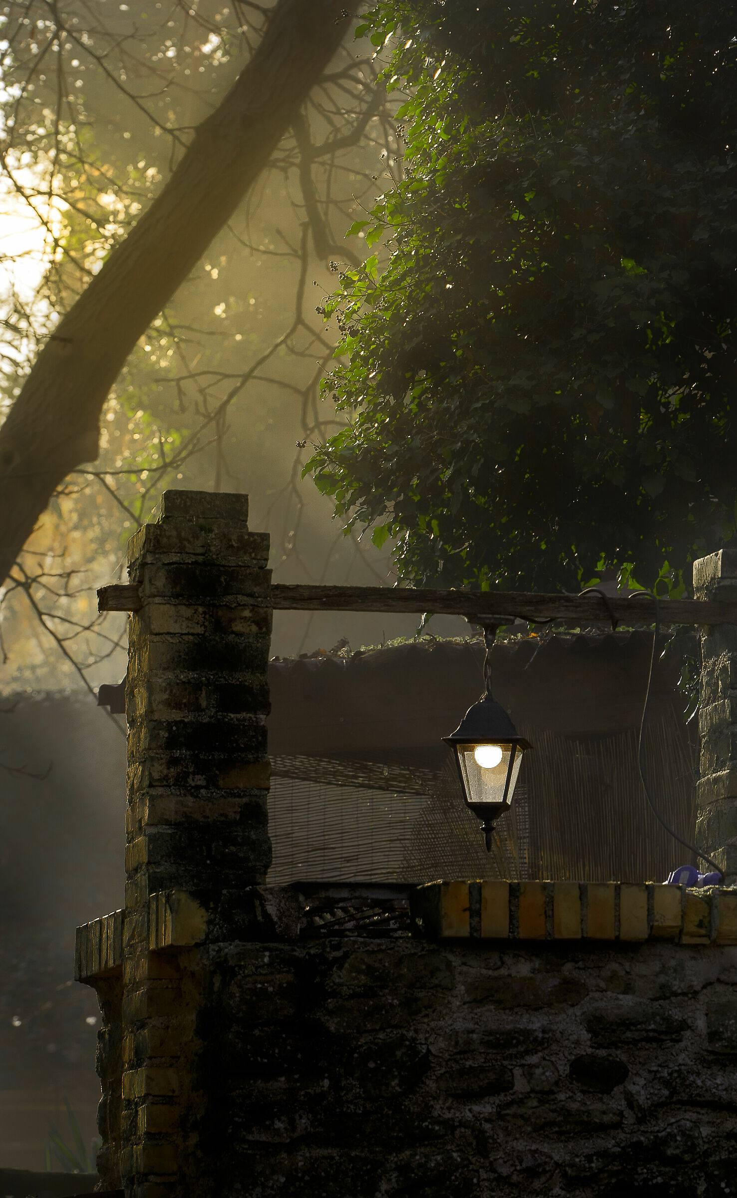 The well in the morning