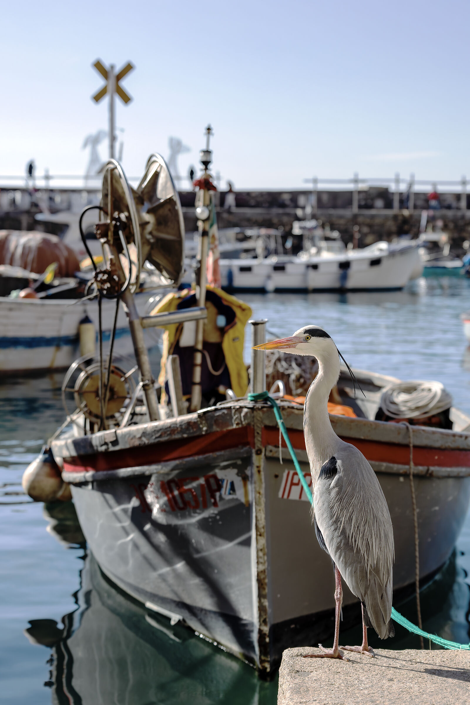 A libro paga della  Pro loco di Camogli
