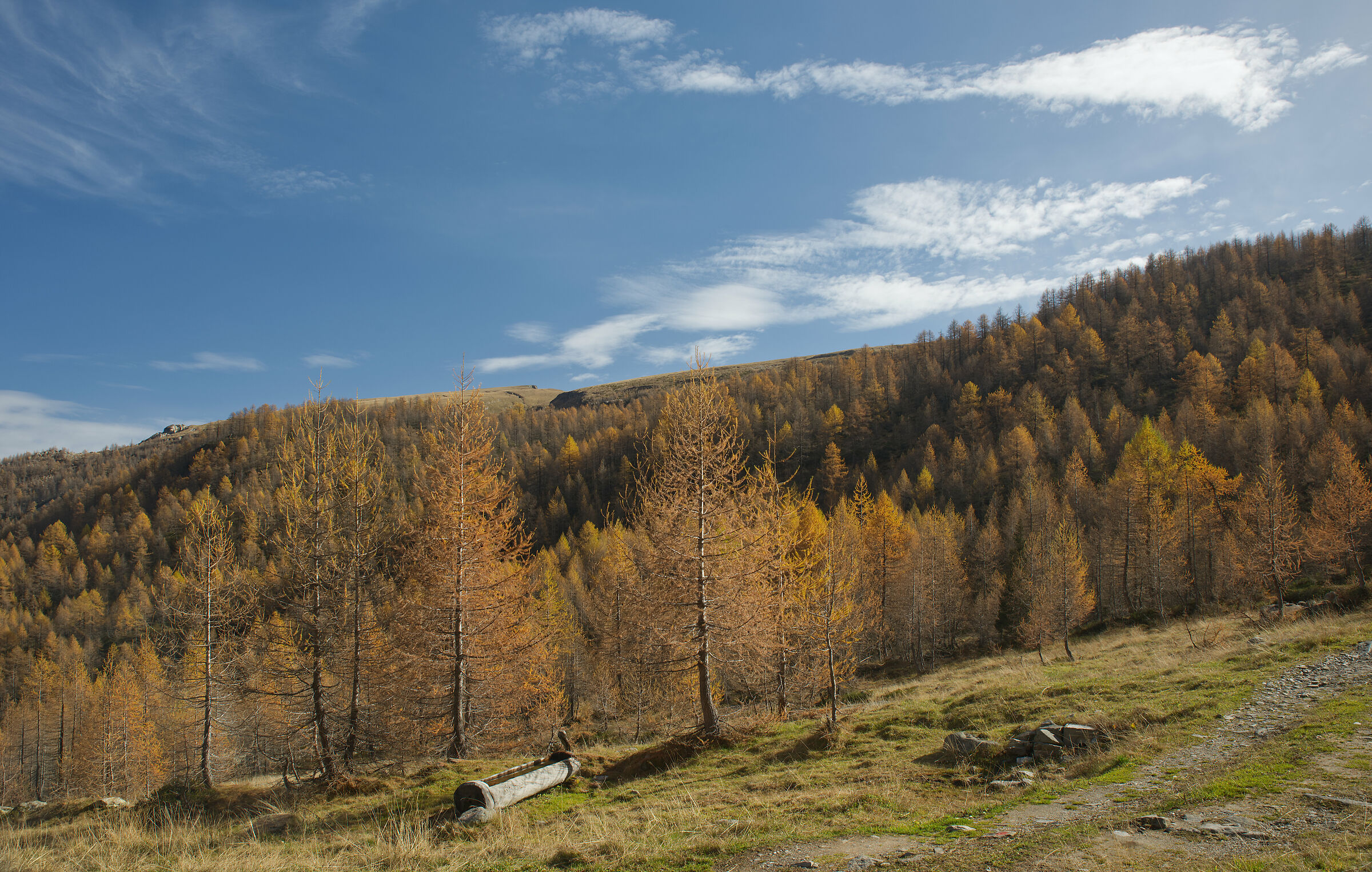 autumn in Valdivedro 2022