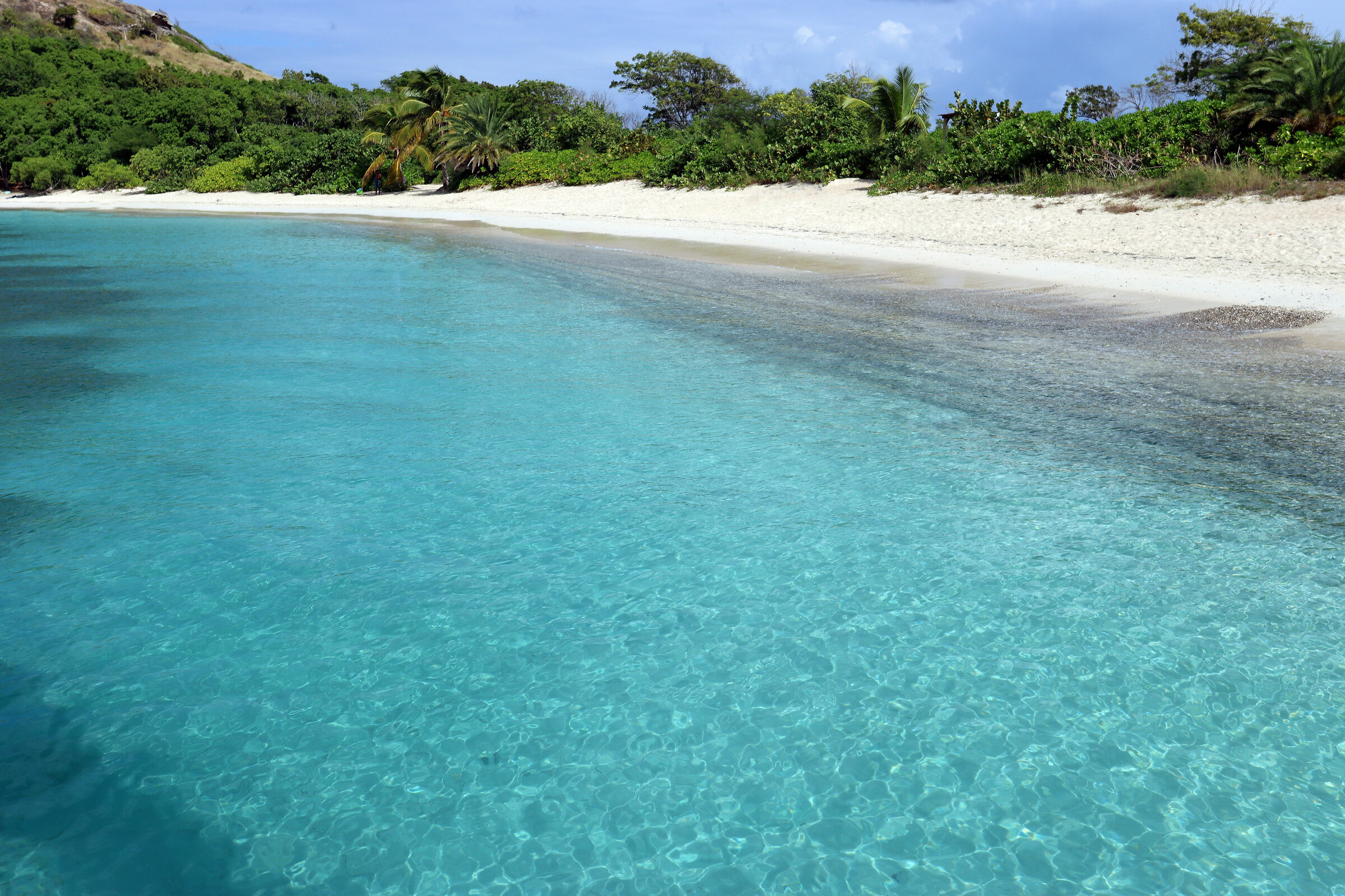 Crociera Caraibi 2024 - Antigua
