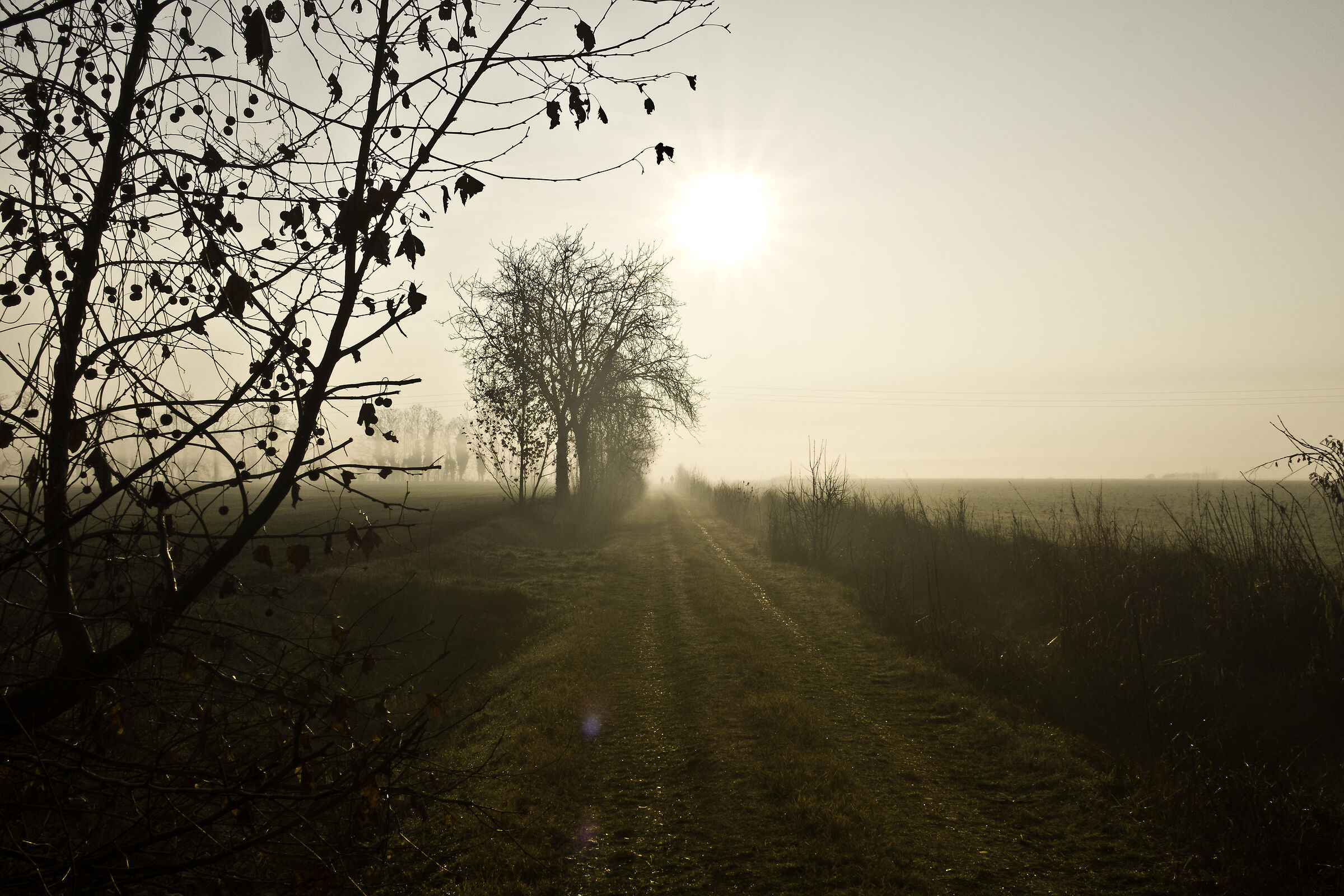 Sgambatoio nella nebbia