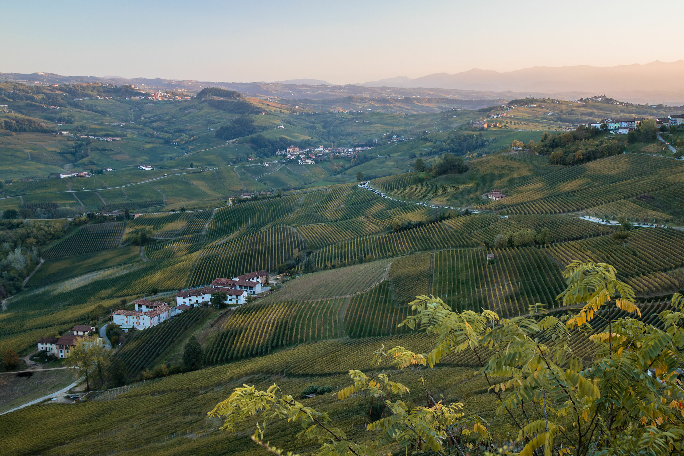 Langhe. Vista da La Morra