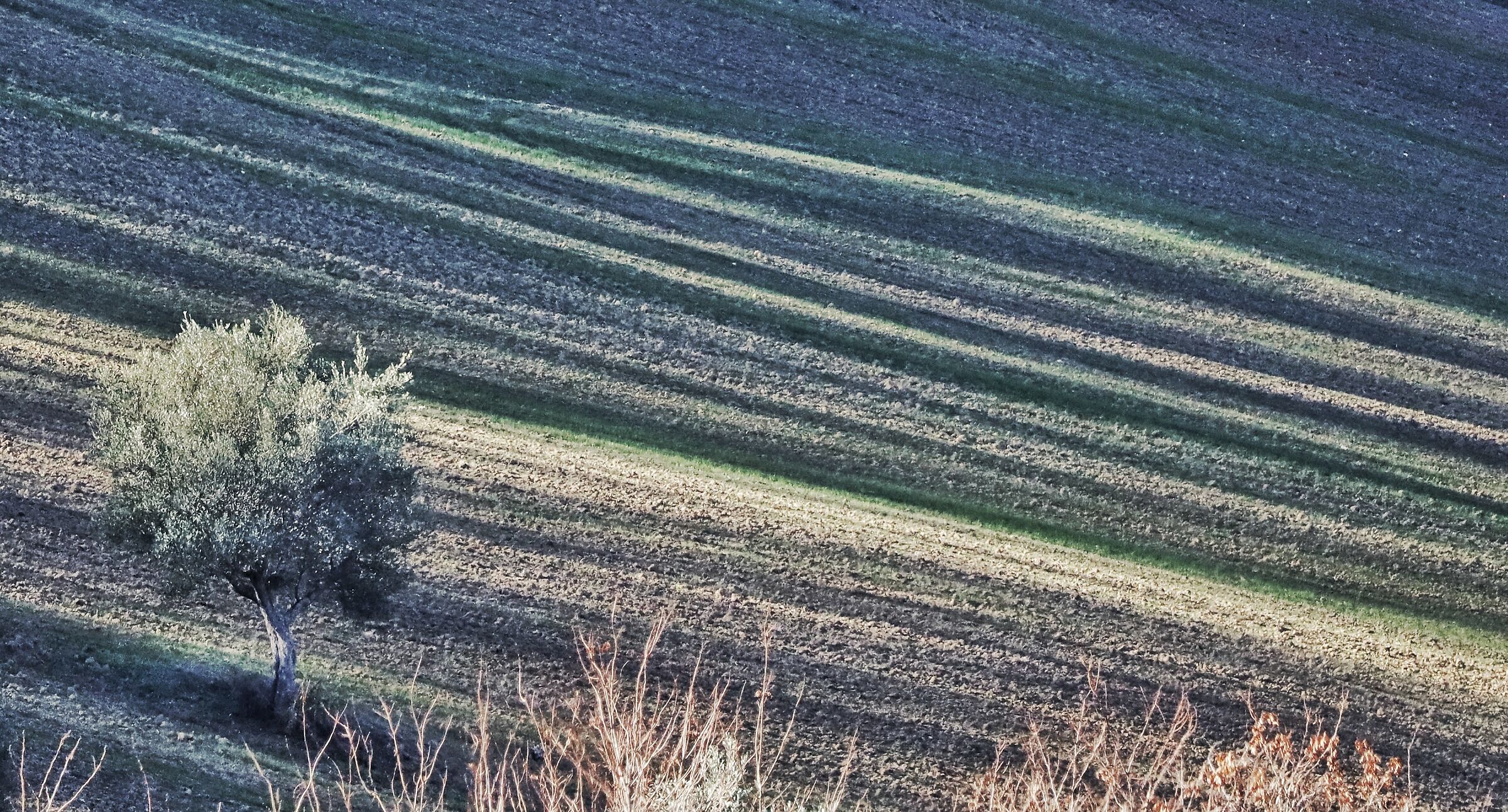 senza titolo
