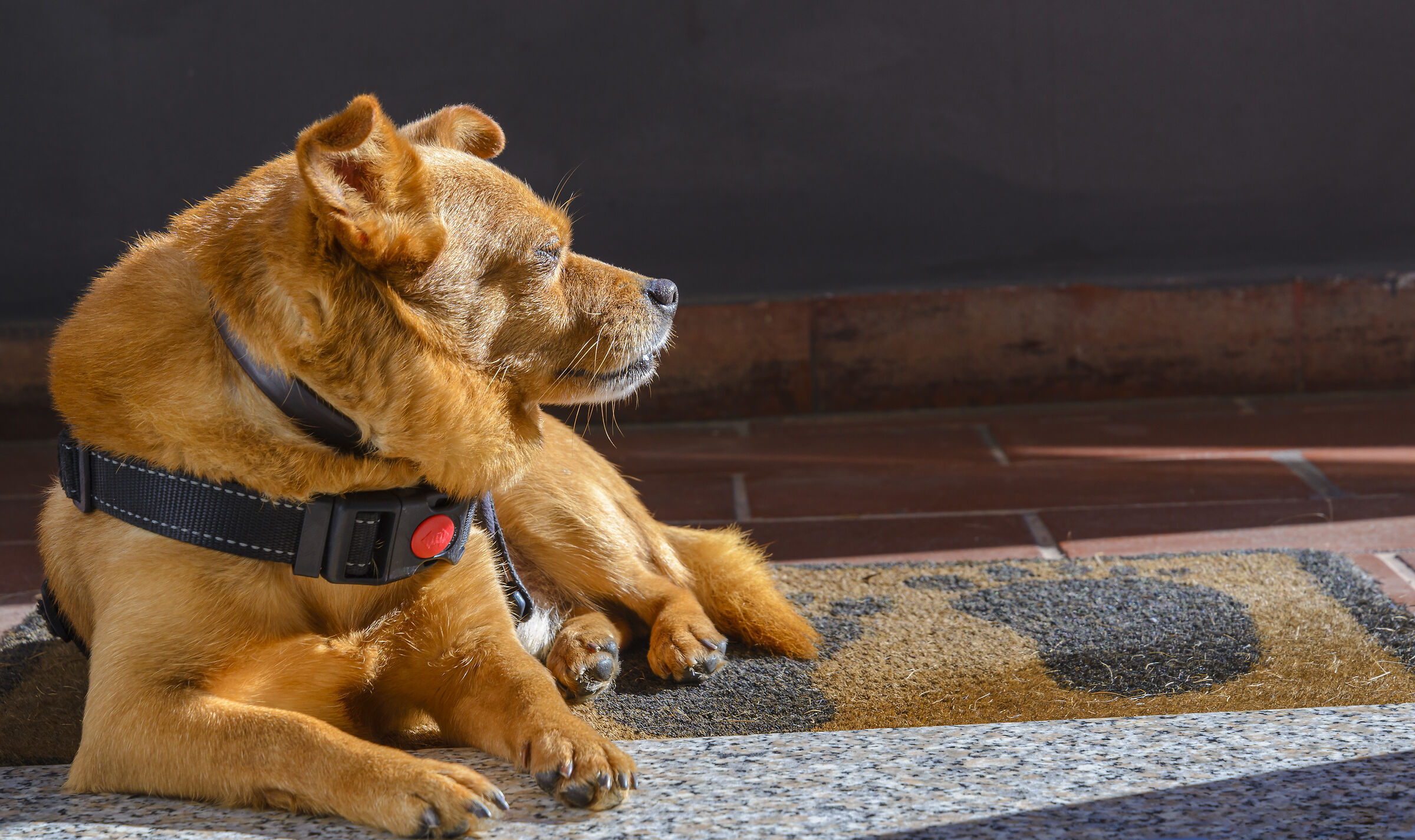 Umberto... The Old Man