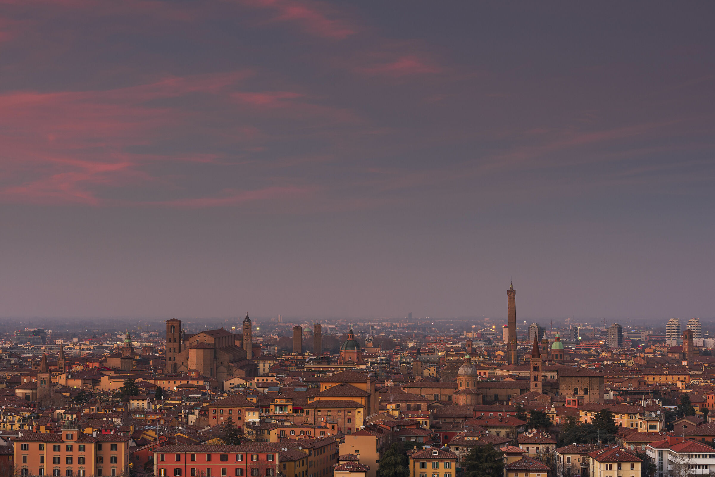 Pink scratches on my city