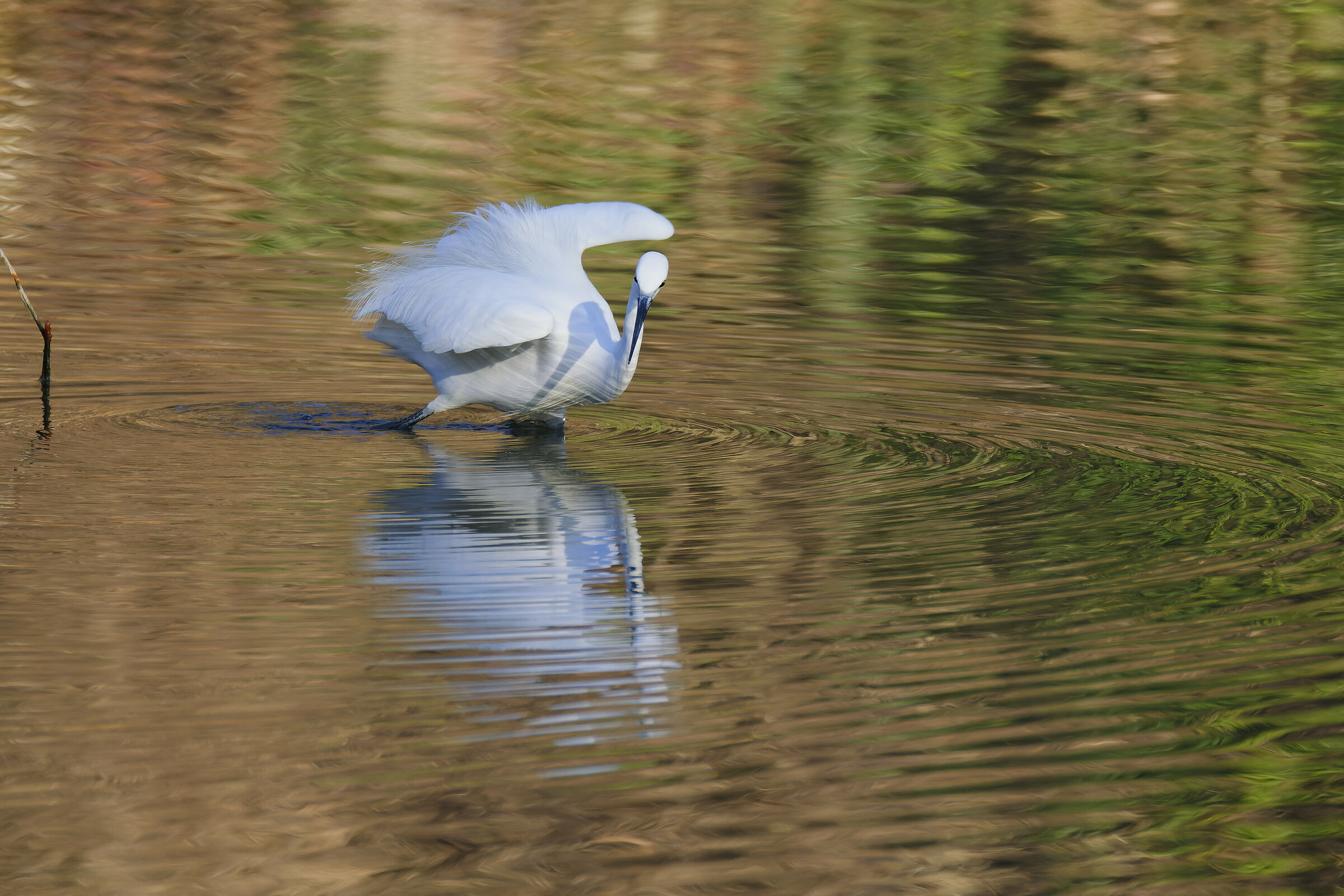 I saw you... (Part I)