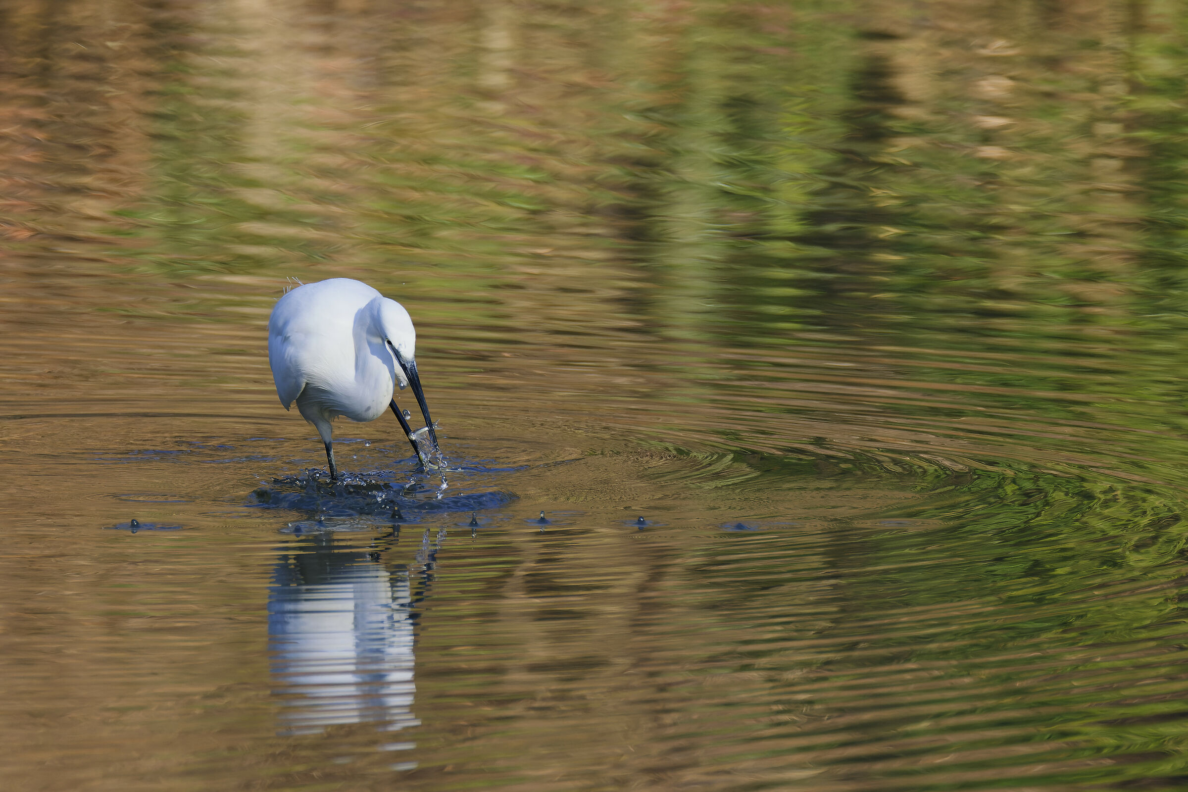 .. And I Got You (Part II)