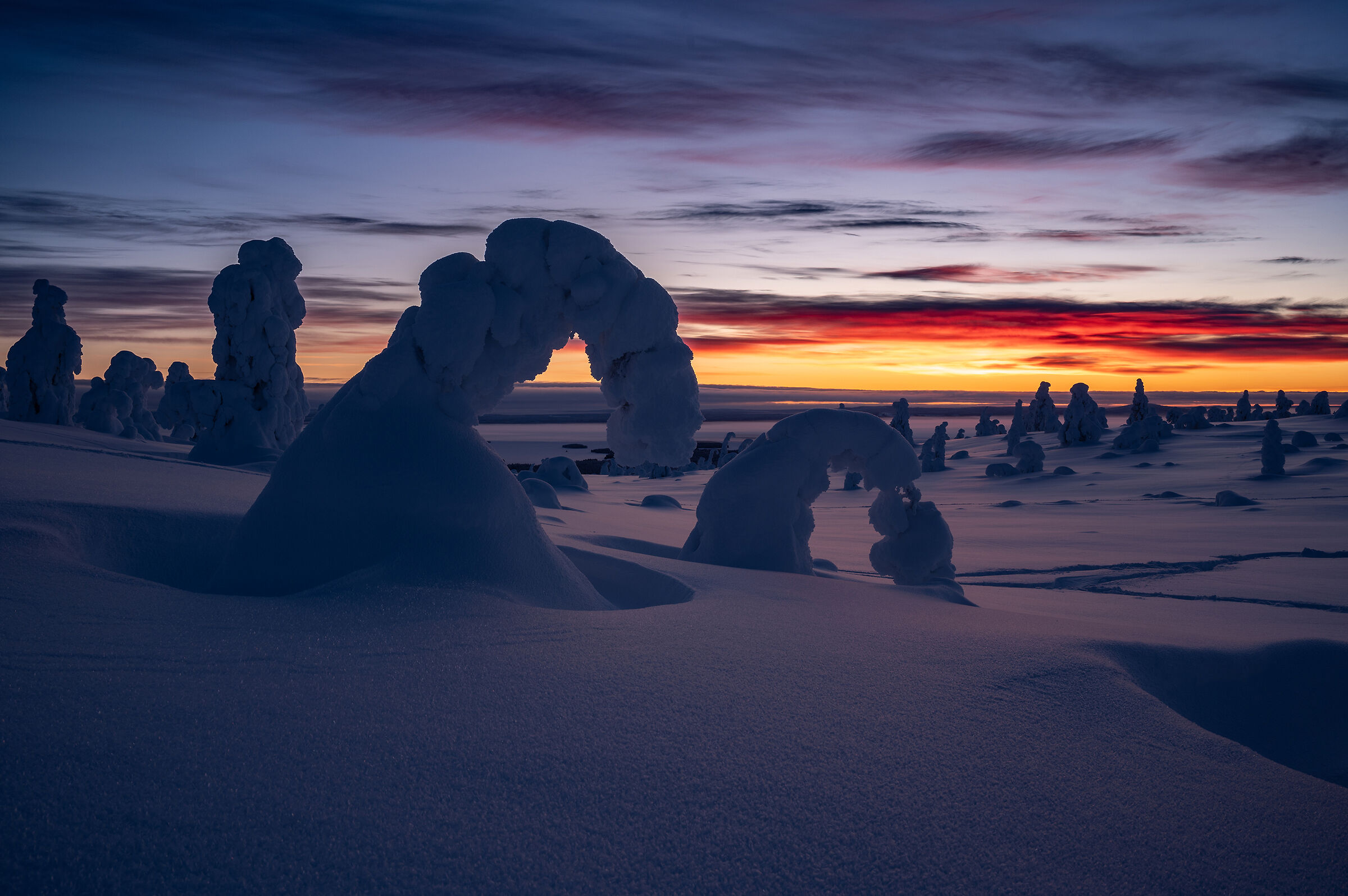 The Dawn of a New World