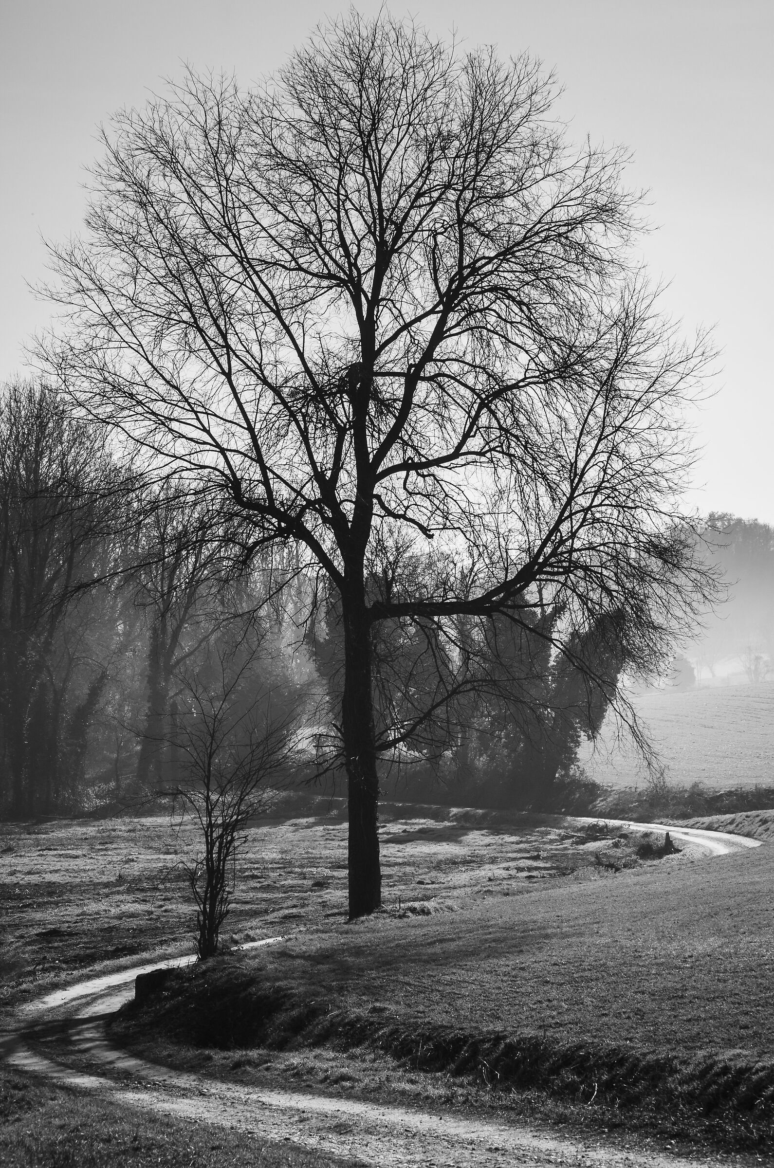 A destra e a sinistra