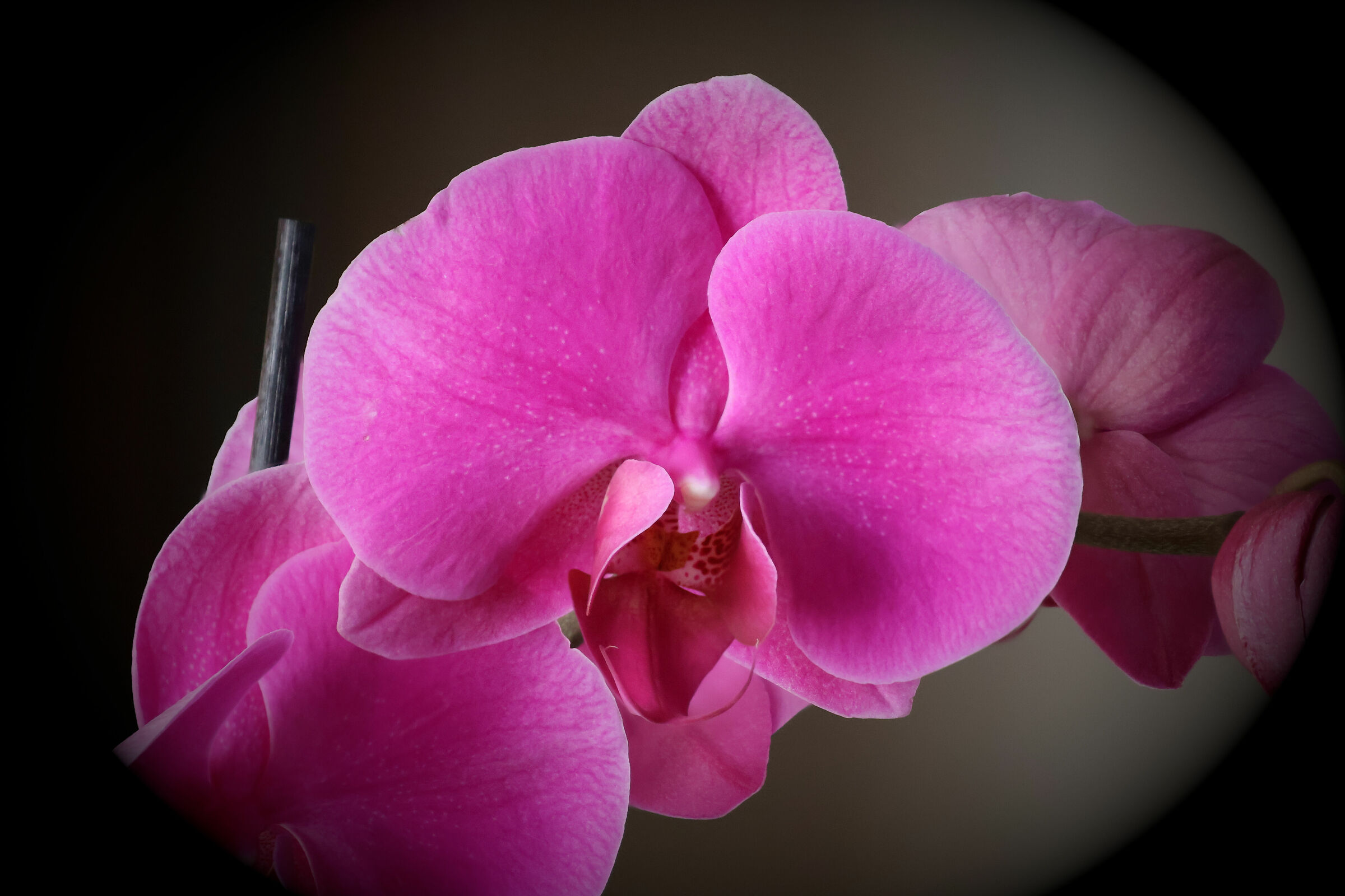 Untitled Photo