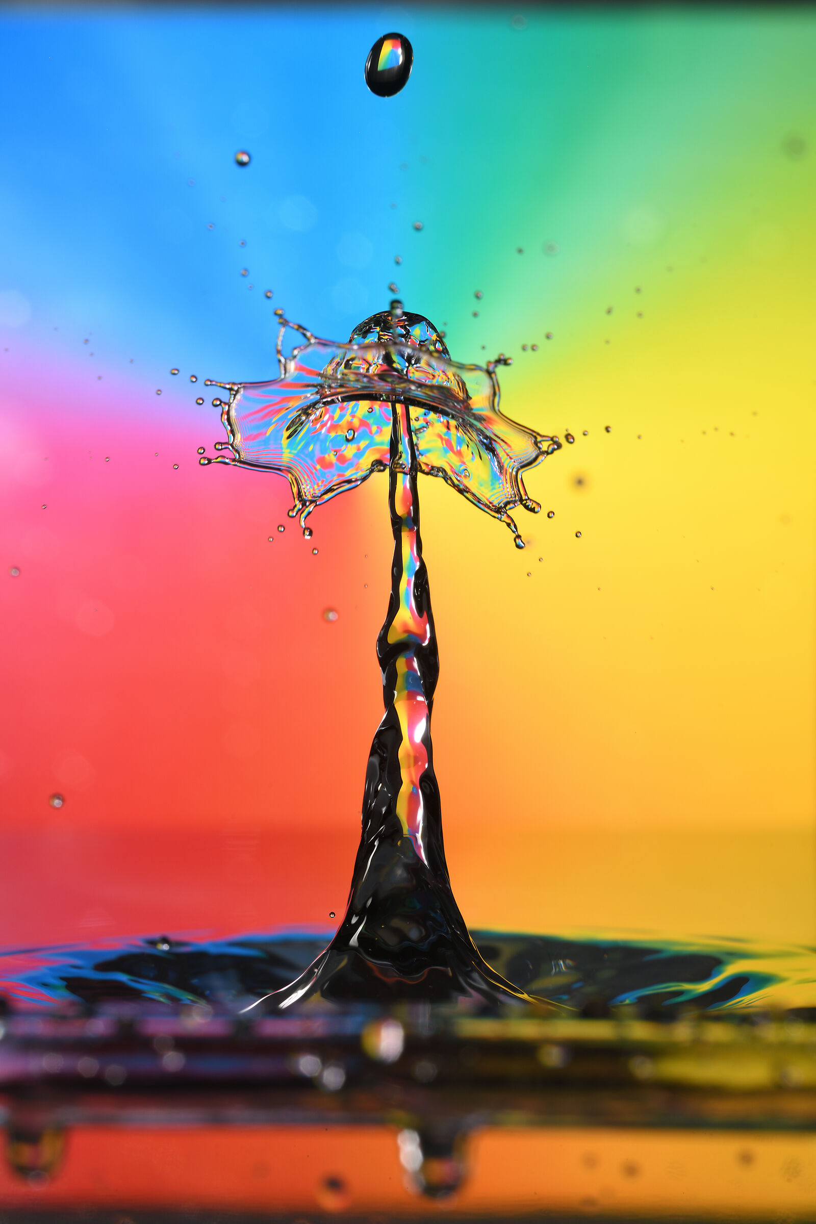 Splash drop. The magic of drops