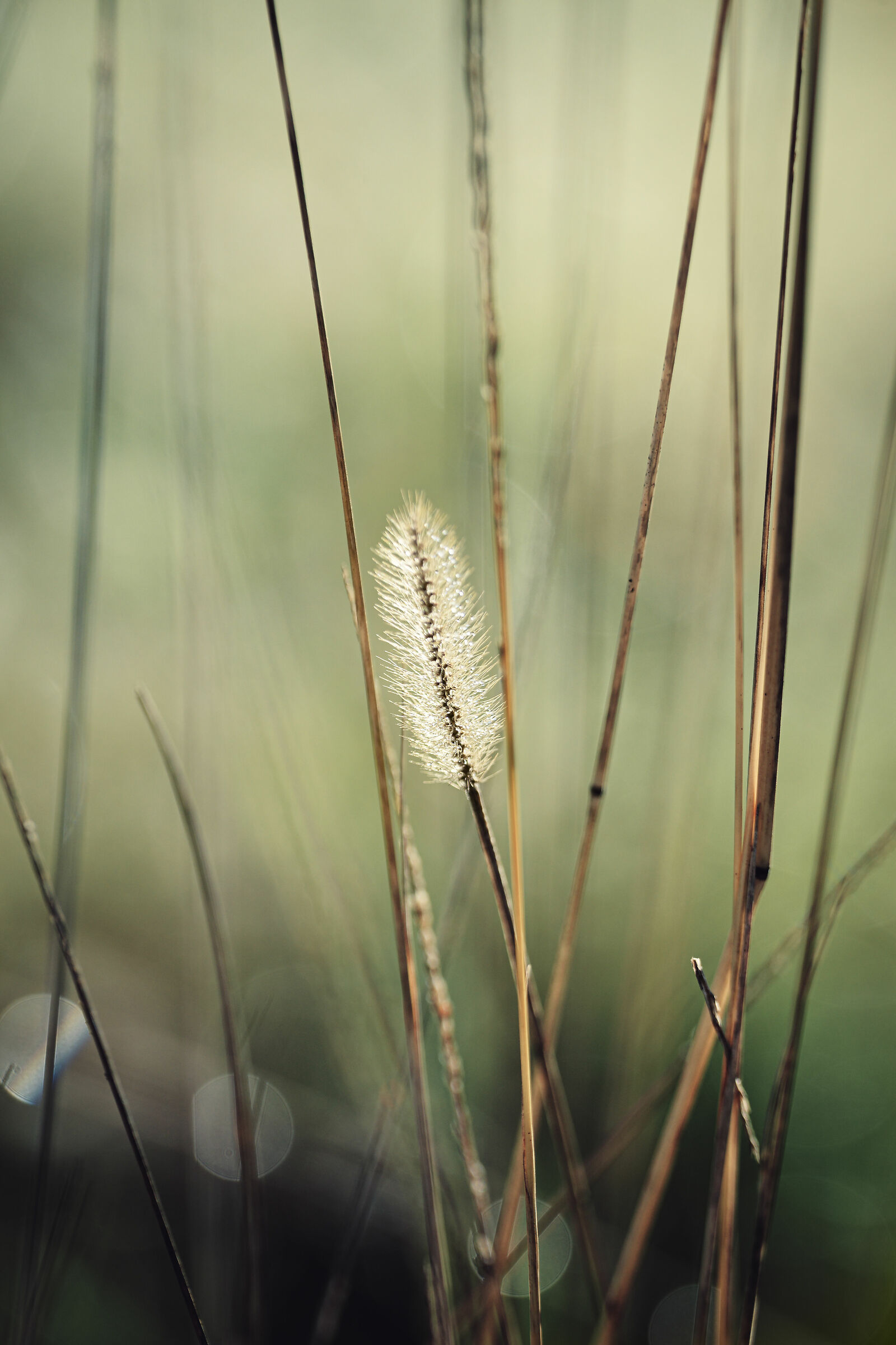 Untitled Photo