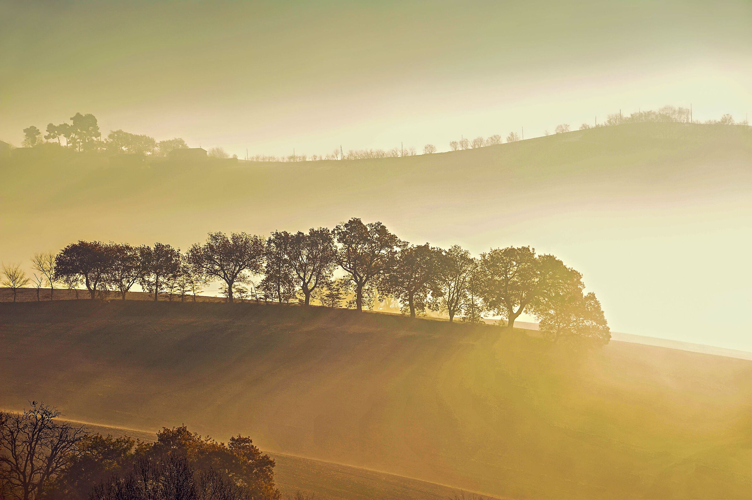 paesaggio marchigiano 5