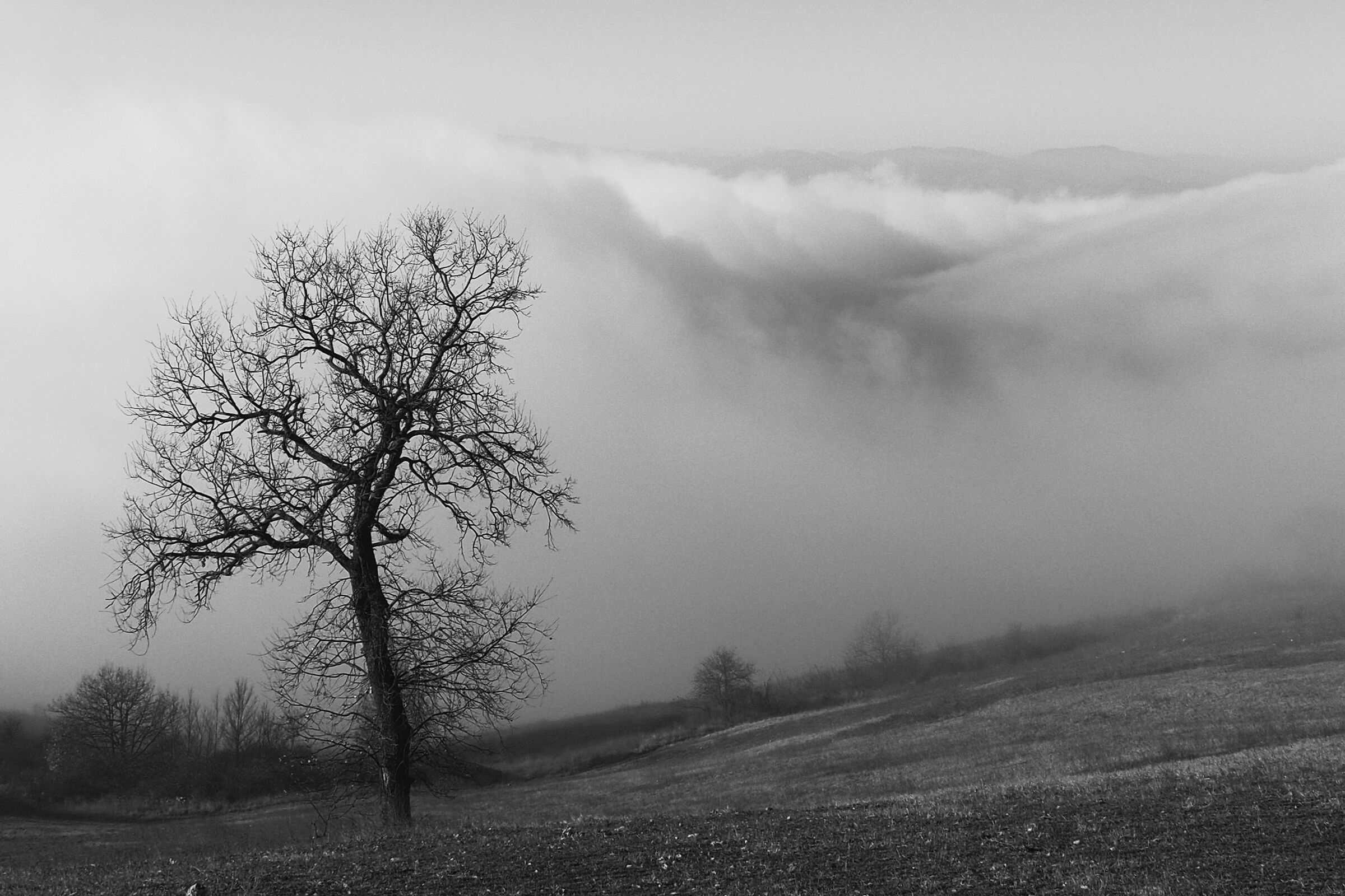 Nebbia che si dissolve
