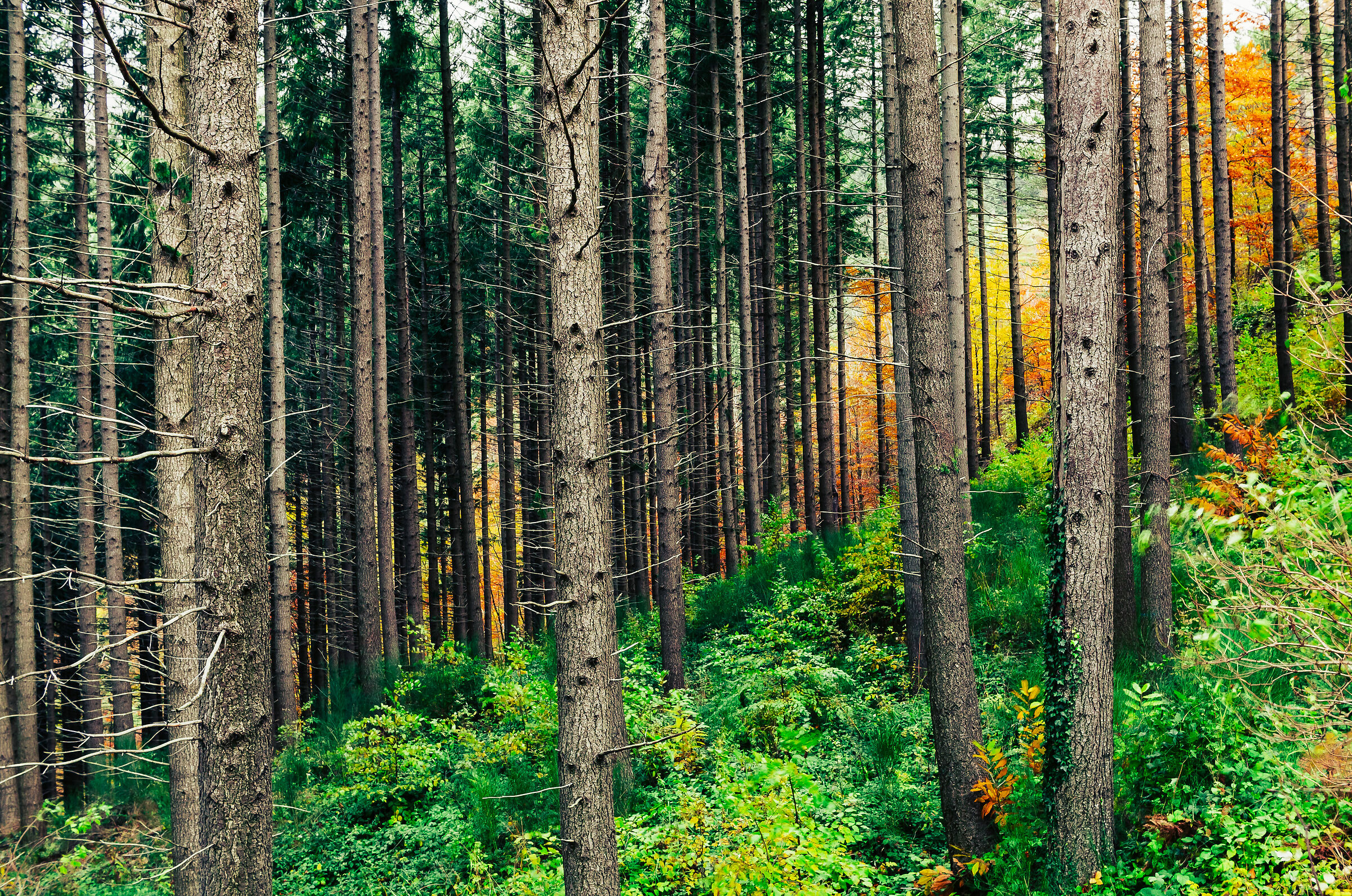 In silenzio, si osserva e si ascolta.