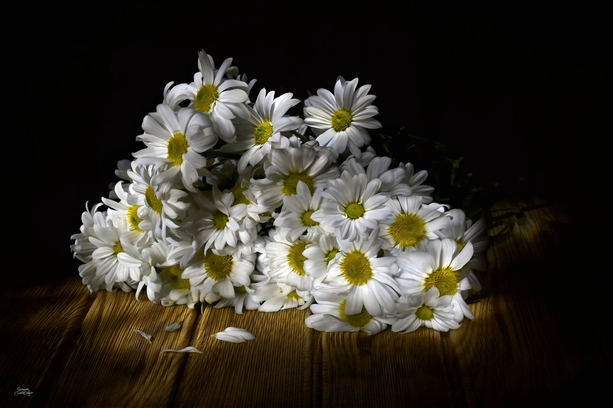 Daisies Light painting