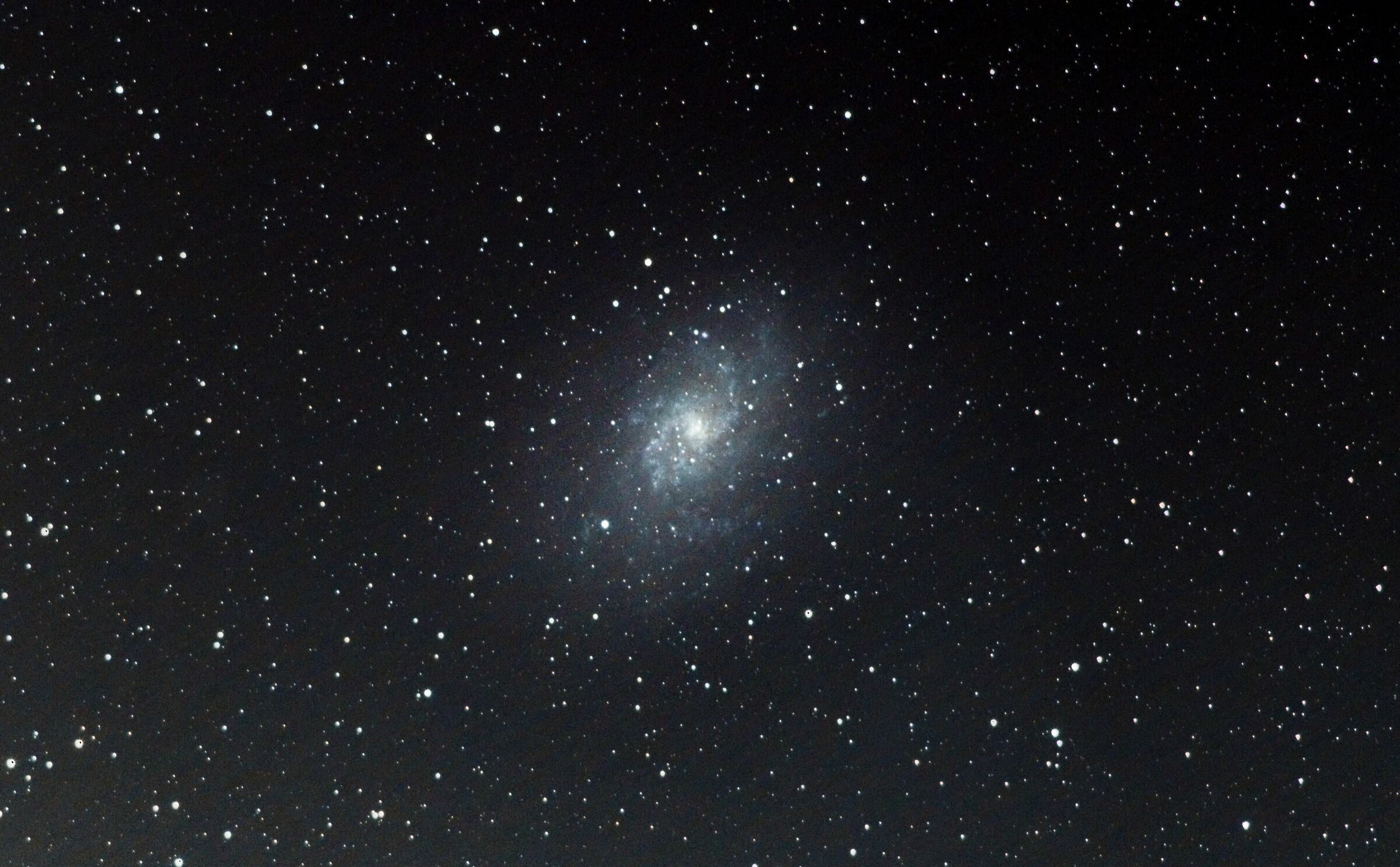 M33