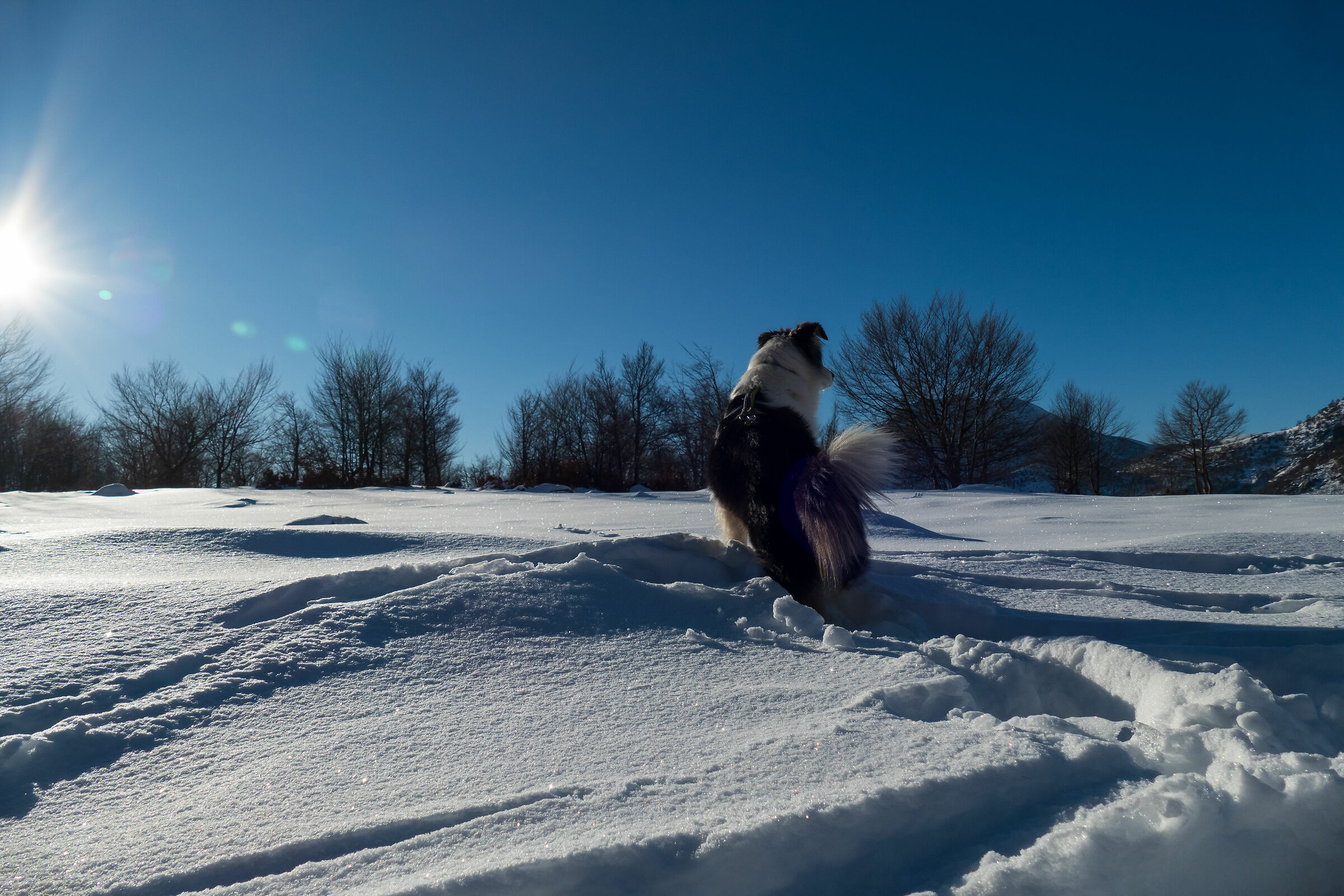 La mia Leslie nella neve