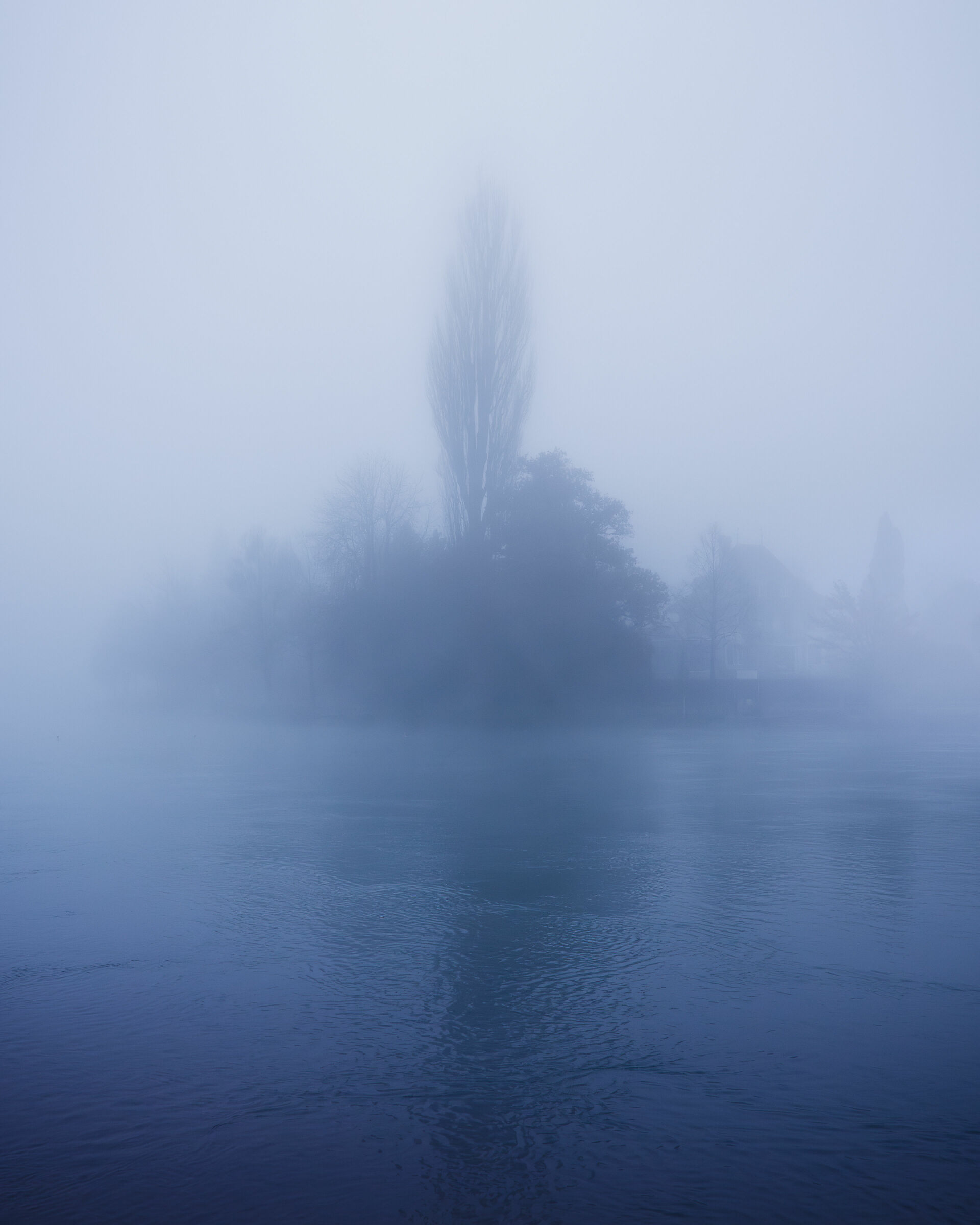 Una mattina nebbiosa in riva al fiume