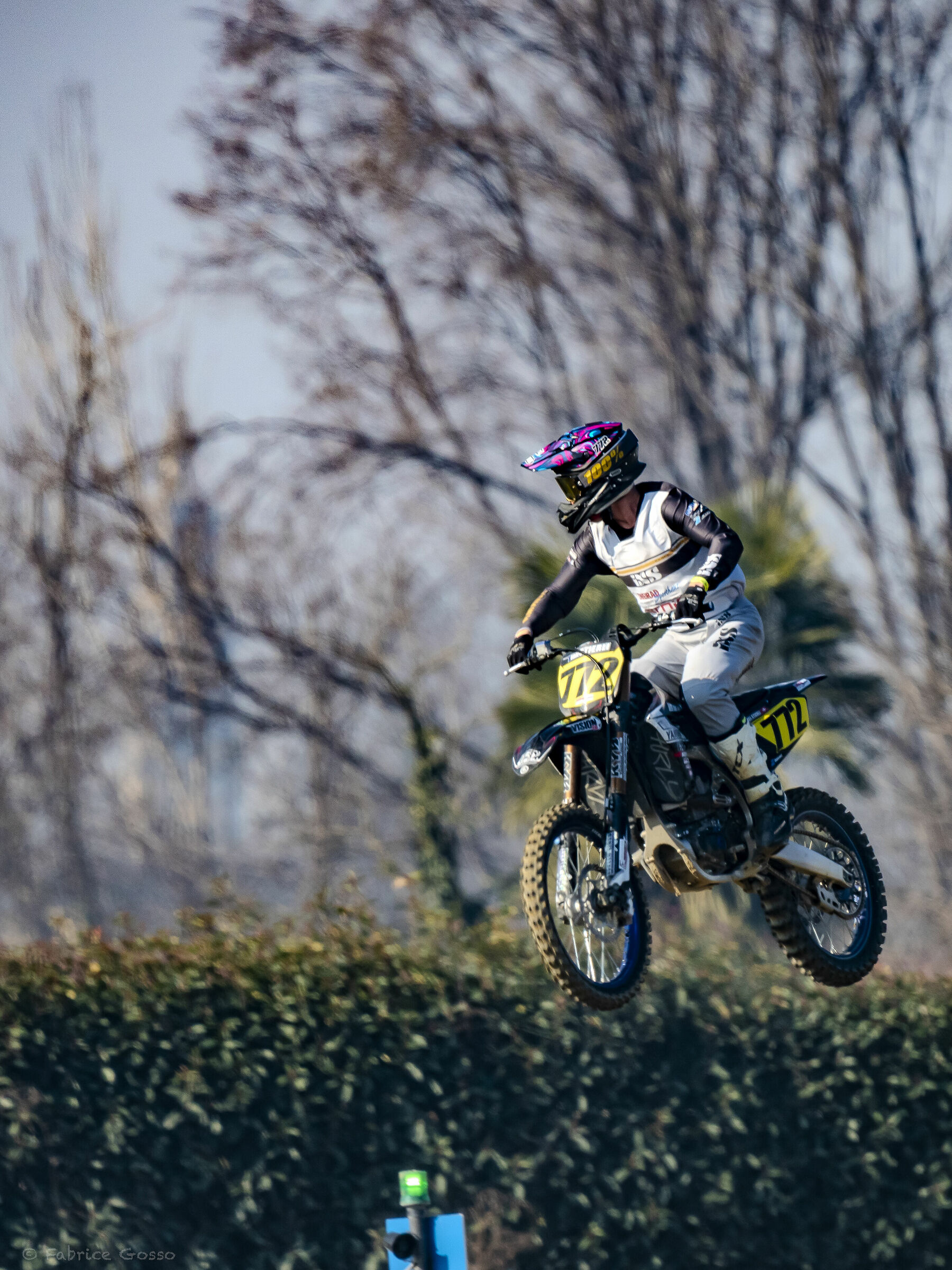 ...altre bestie volanti...