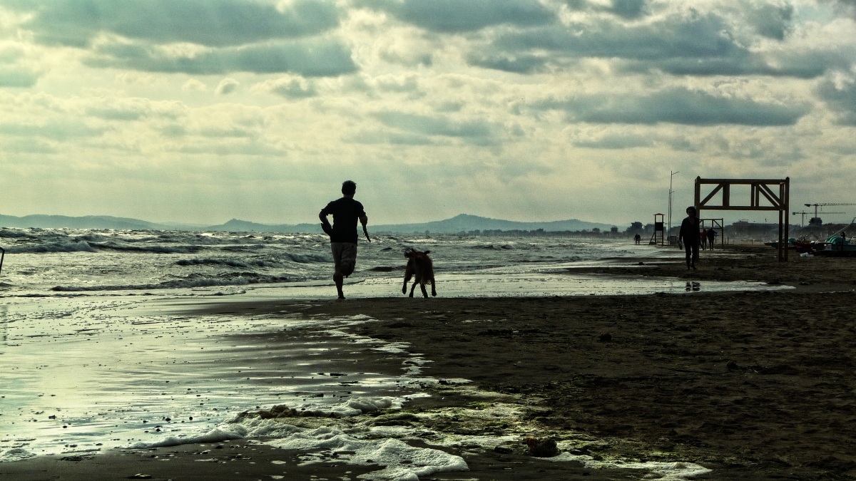 running on the shoreline