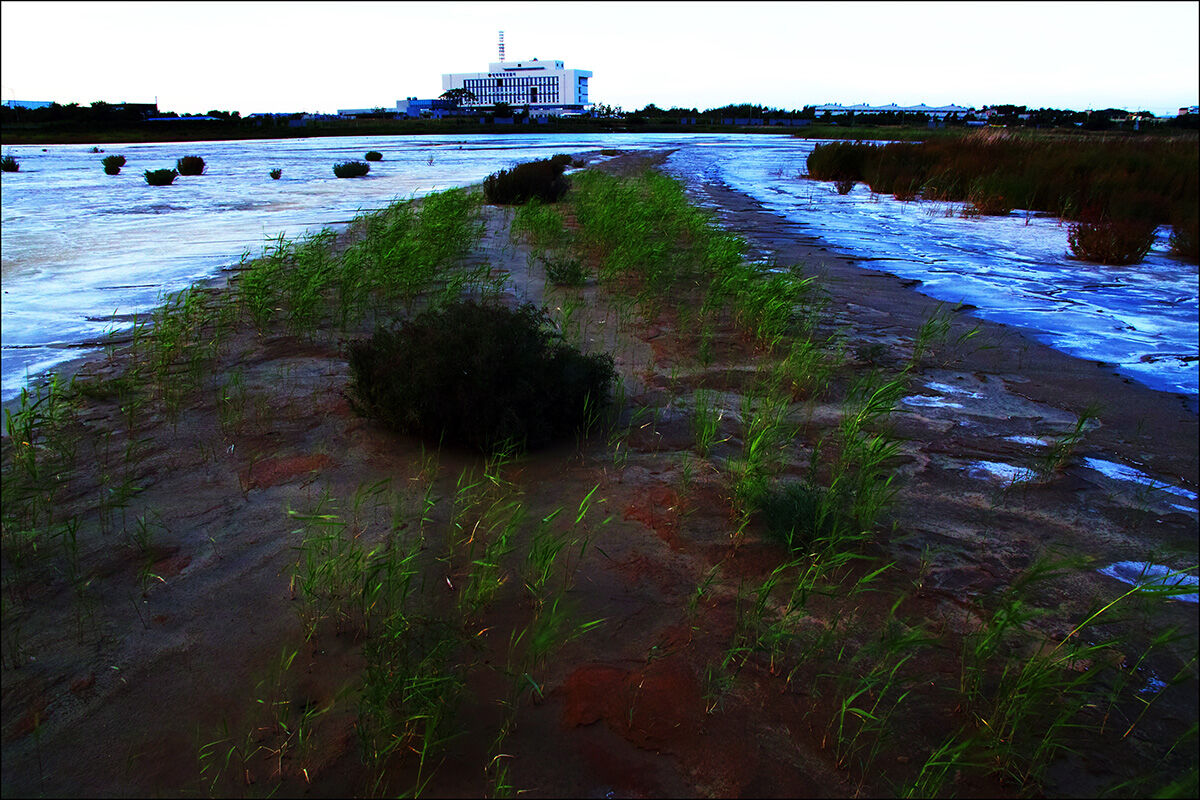 Un percorso di contemplazione nelle distese fangose di Pyeon...